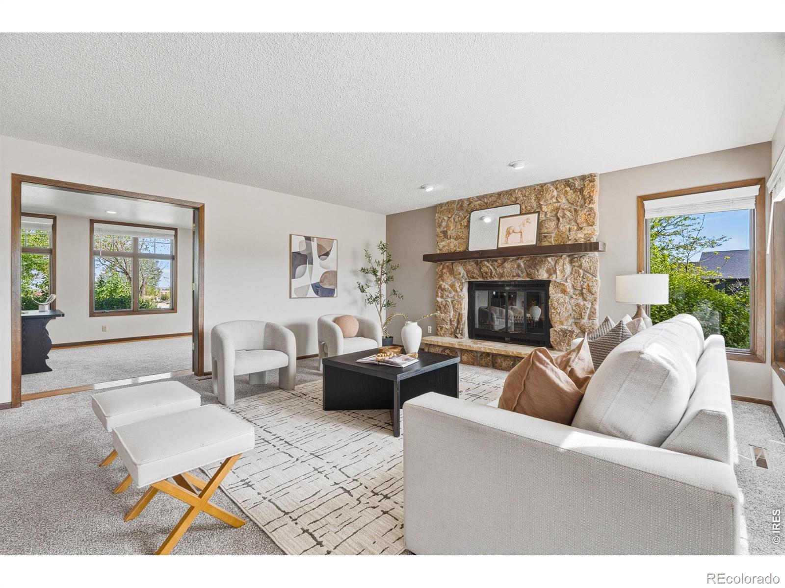 MLS #RECIR1065288 image #8