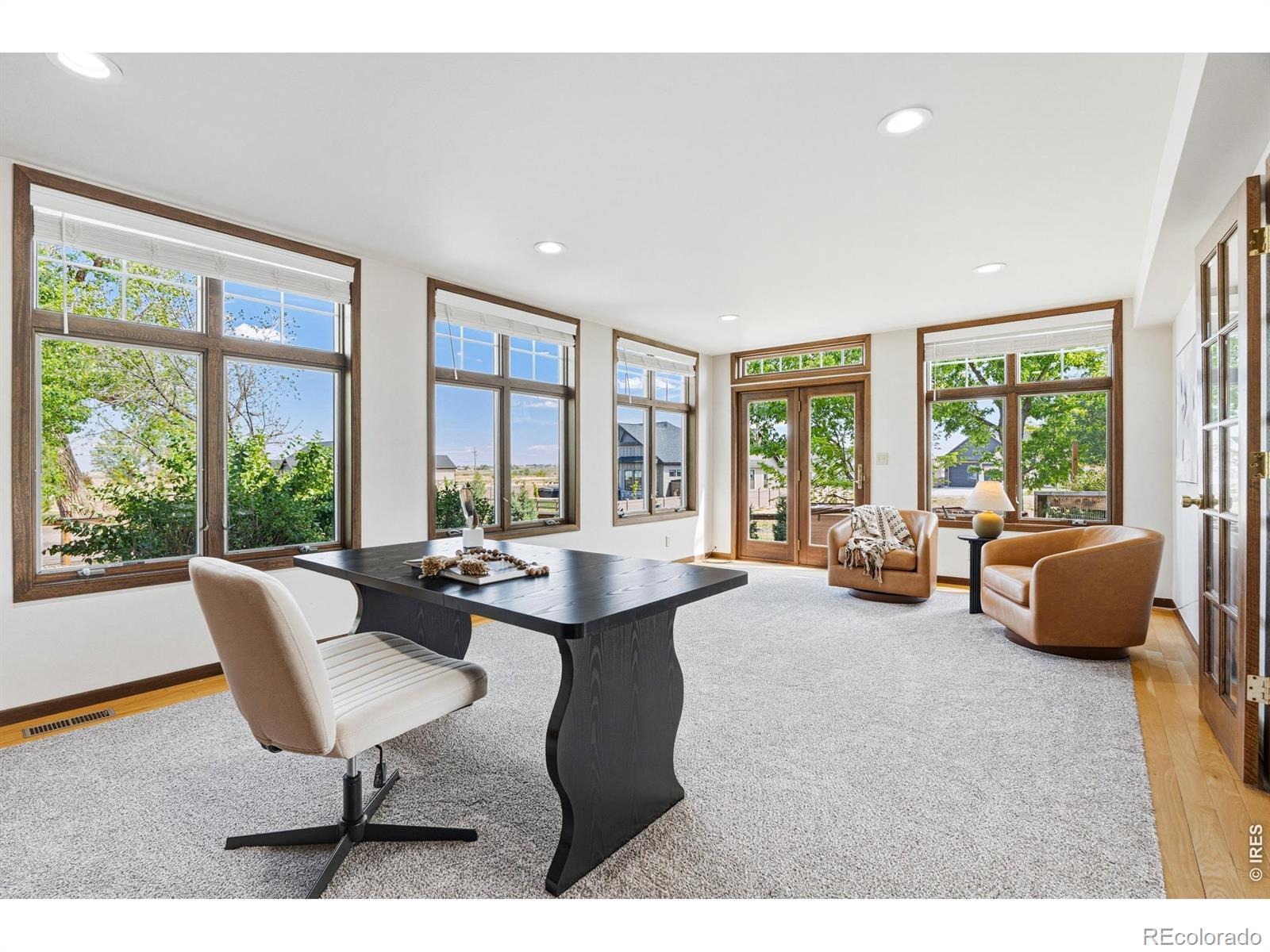 MLS #RECIR1065288 image #9