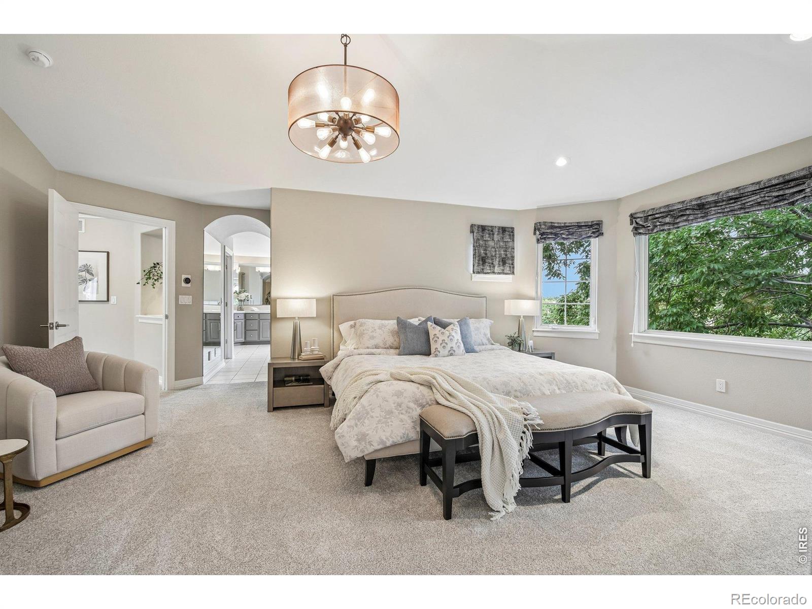 MLS #RECIR1065451 image #18