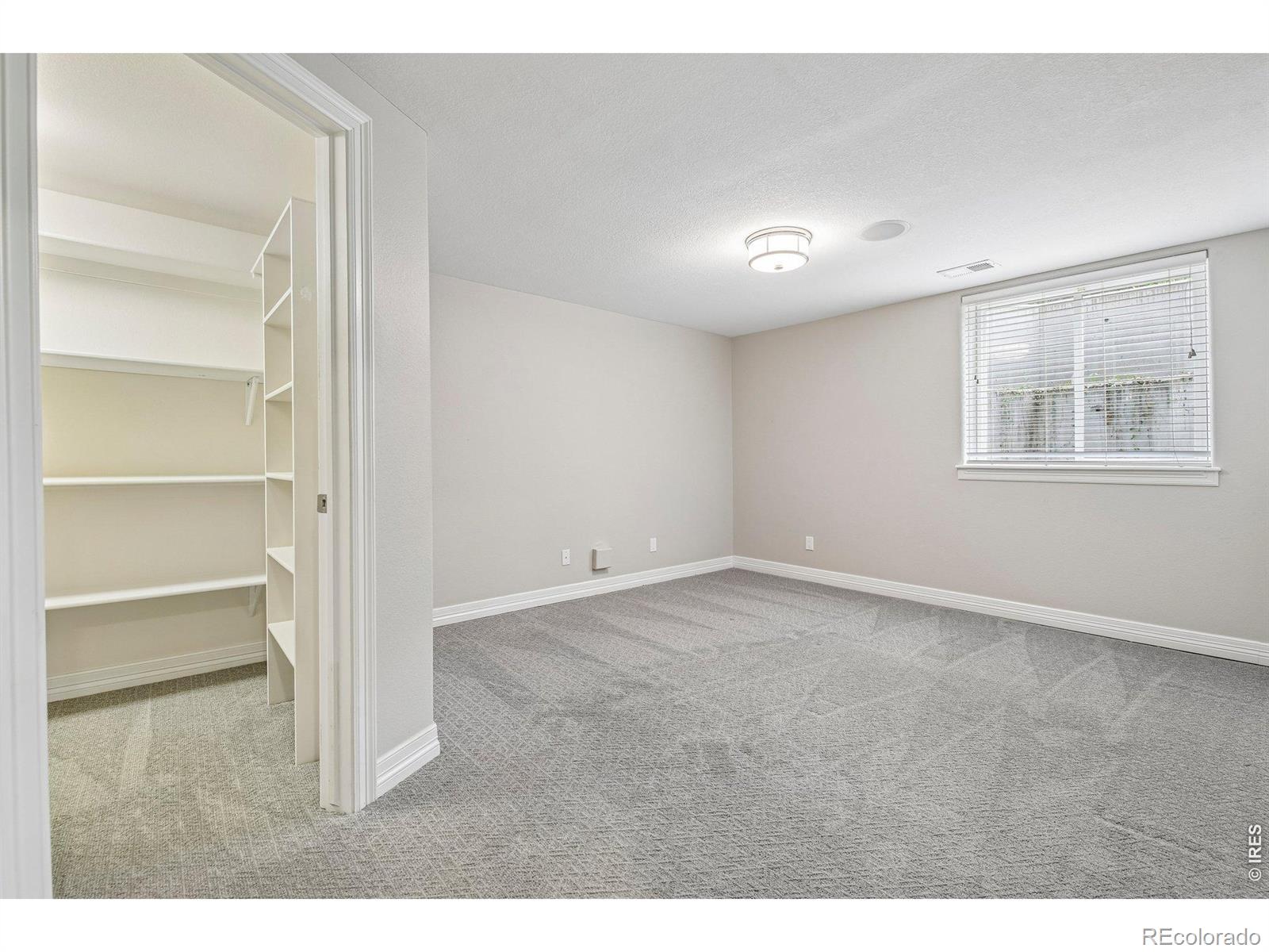 MLS #RECIR1065451 image #39