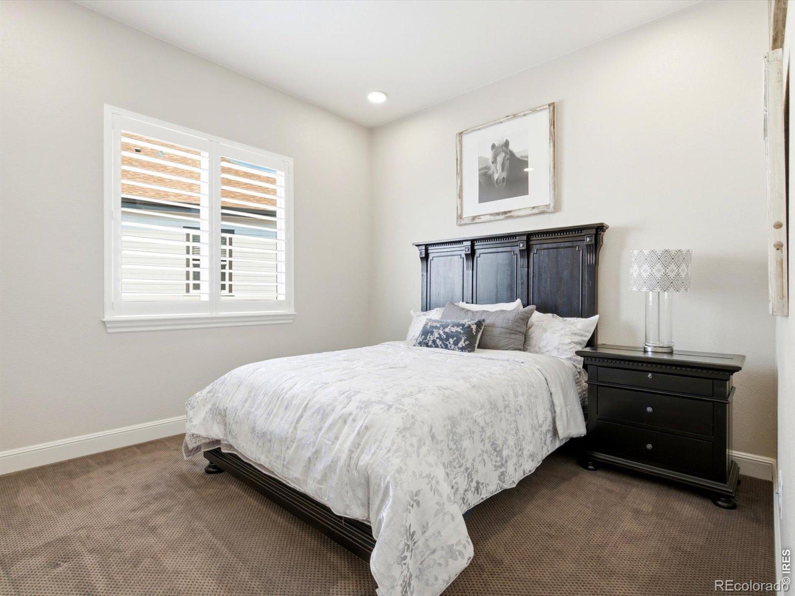 MLS #RECIR1065594 image #17