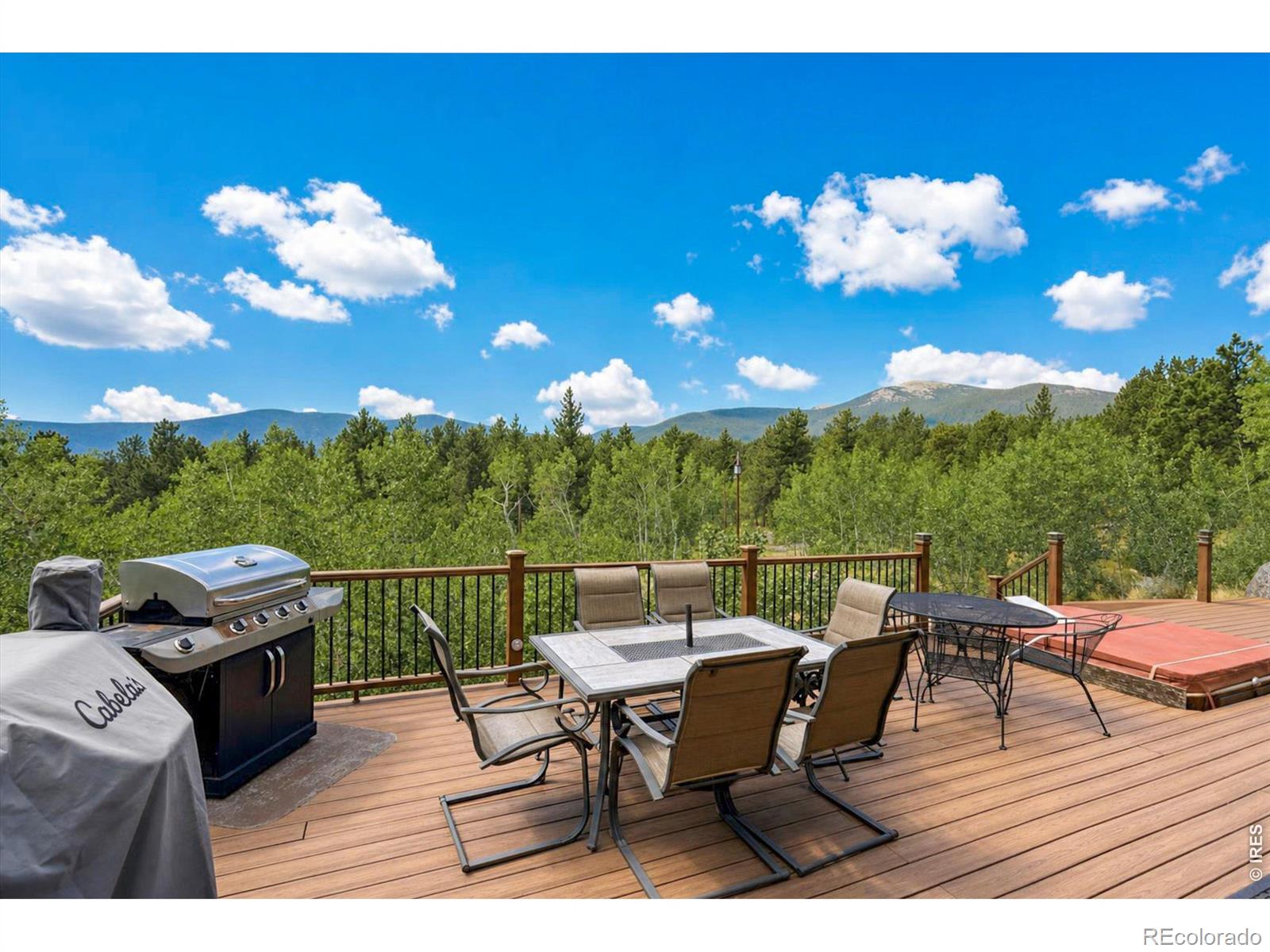 MLS #RECIR1065733 image #8