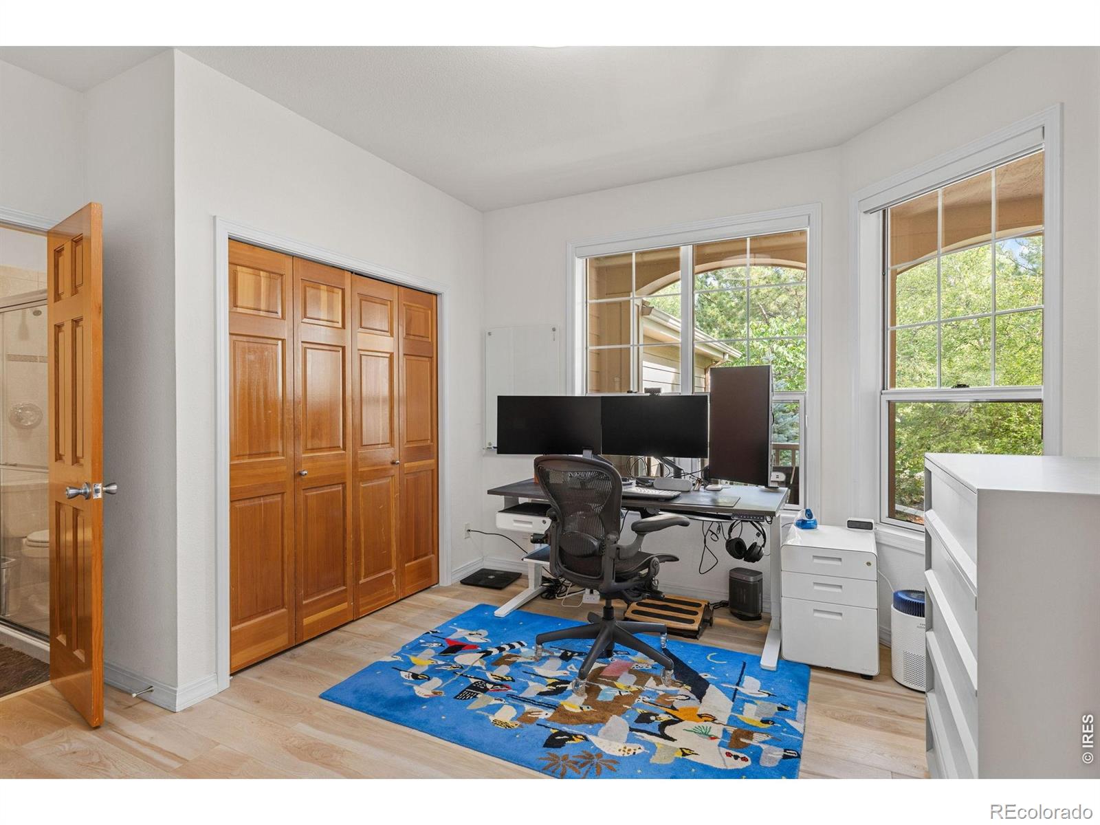 MLS #RECIR1065991 image #20