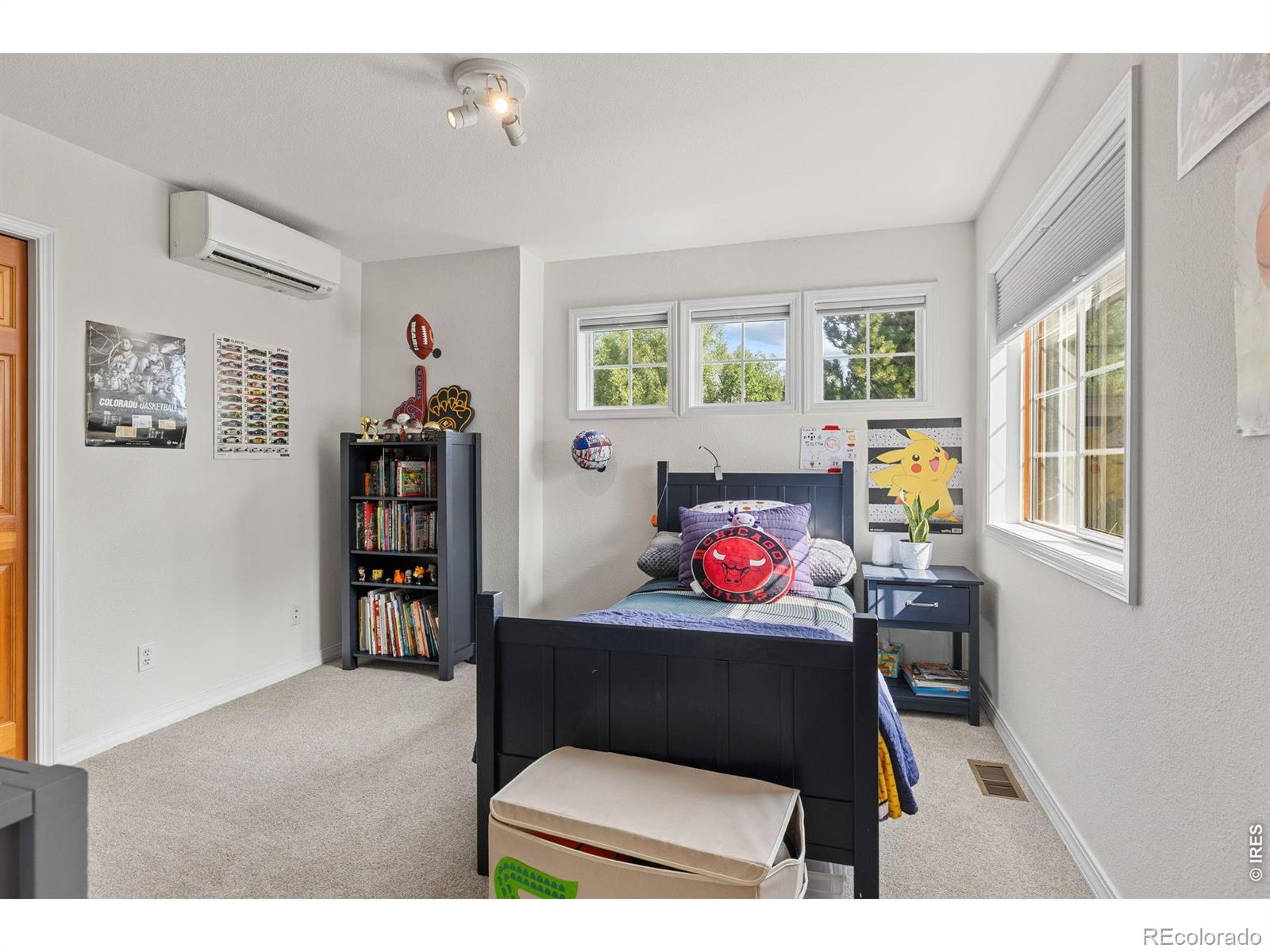 MLS #RECIR1065991 image #30