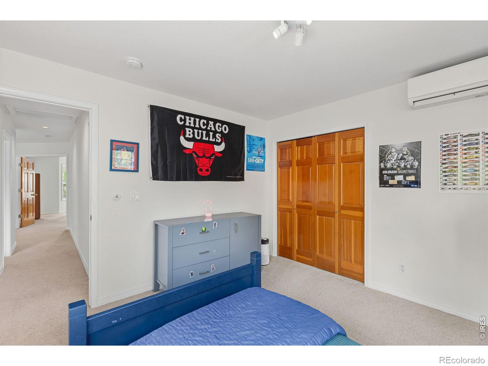 MLS #RECIR1065991 image #31