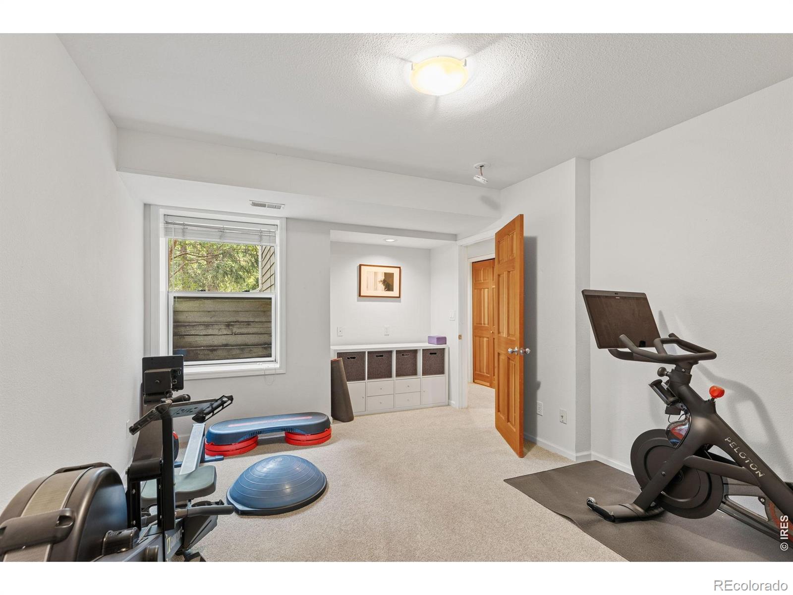 MLS #RECIR1065991 image #37