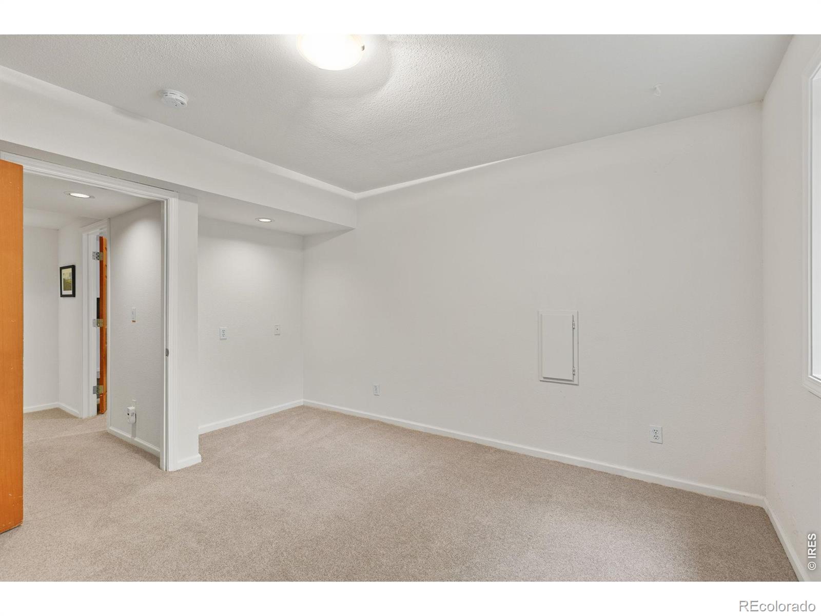 MLS #RECIR1065991 image #39