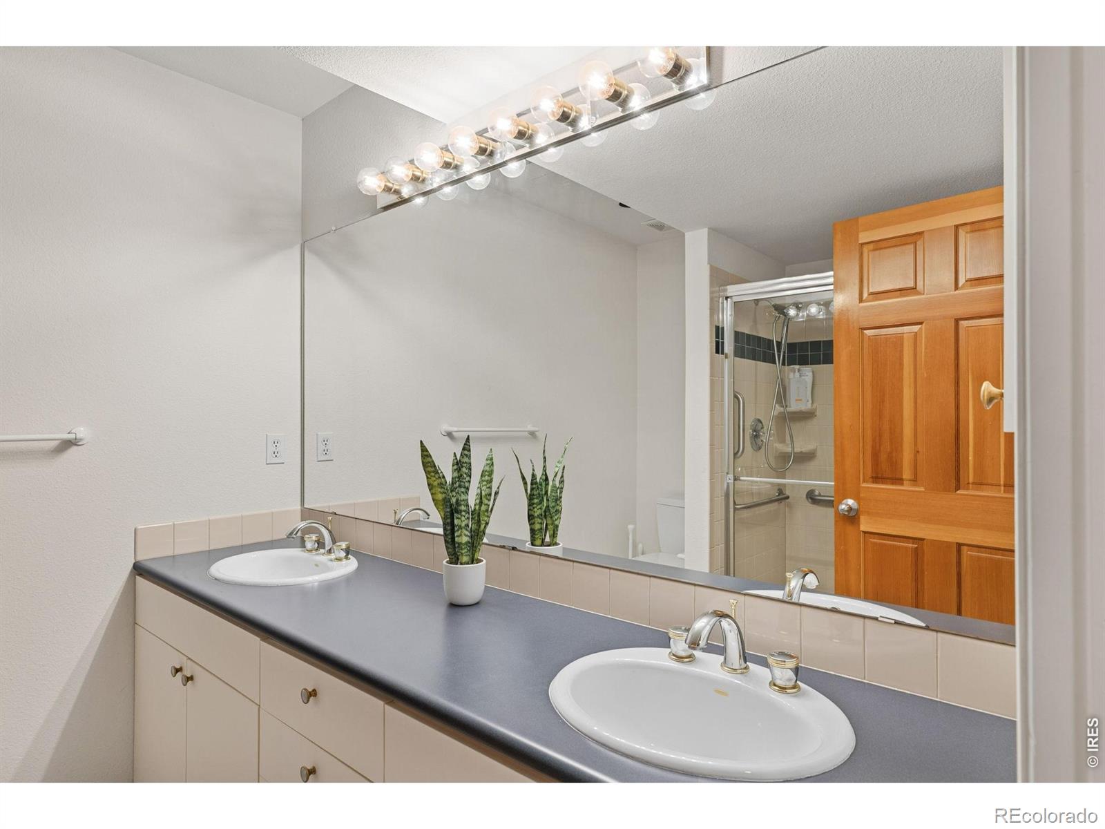 MLS #RECIR1065991 image #40