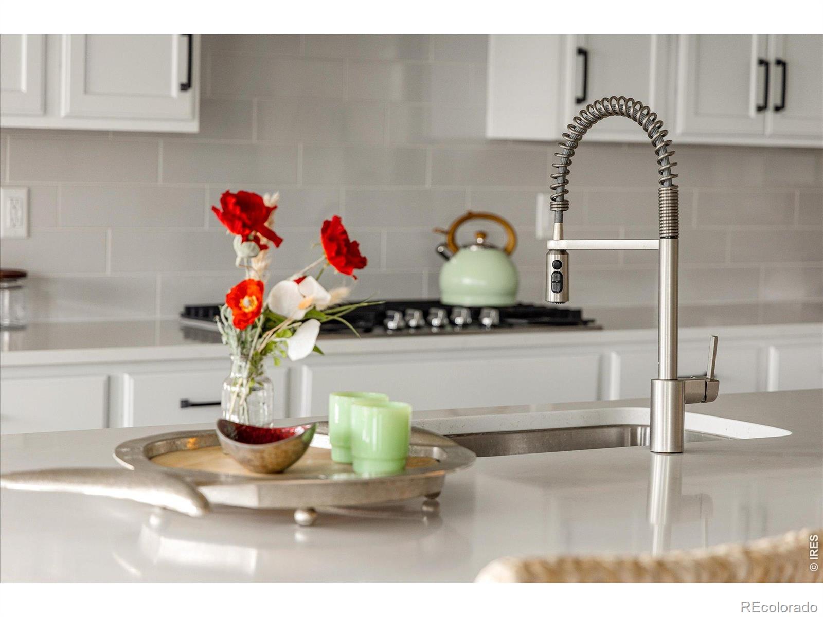MLS #RECIR1066004 image #10