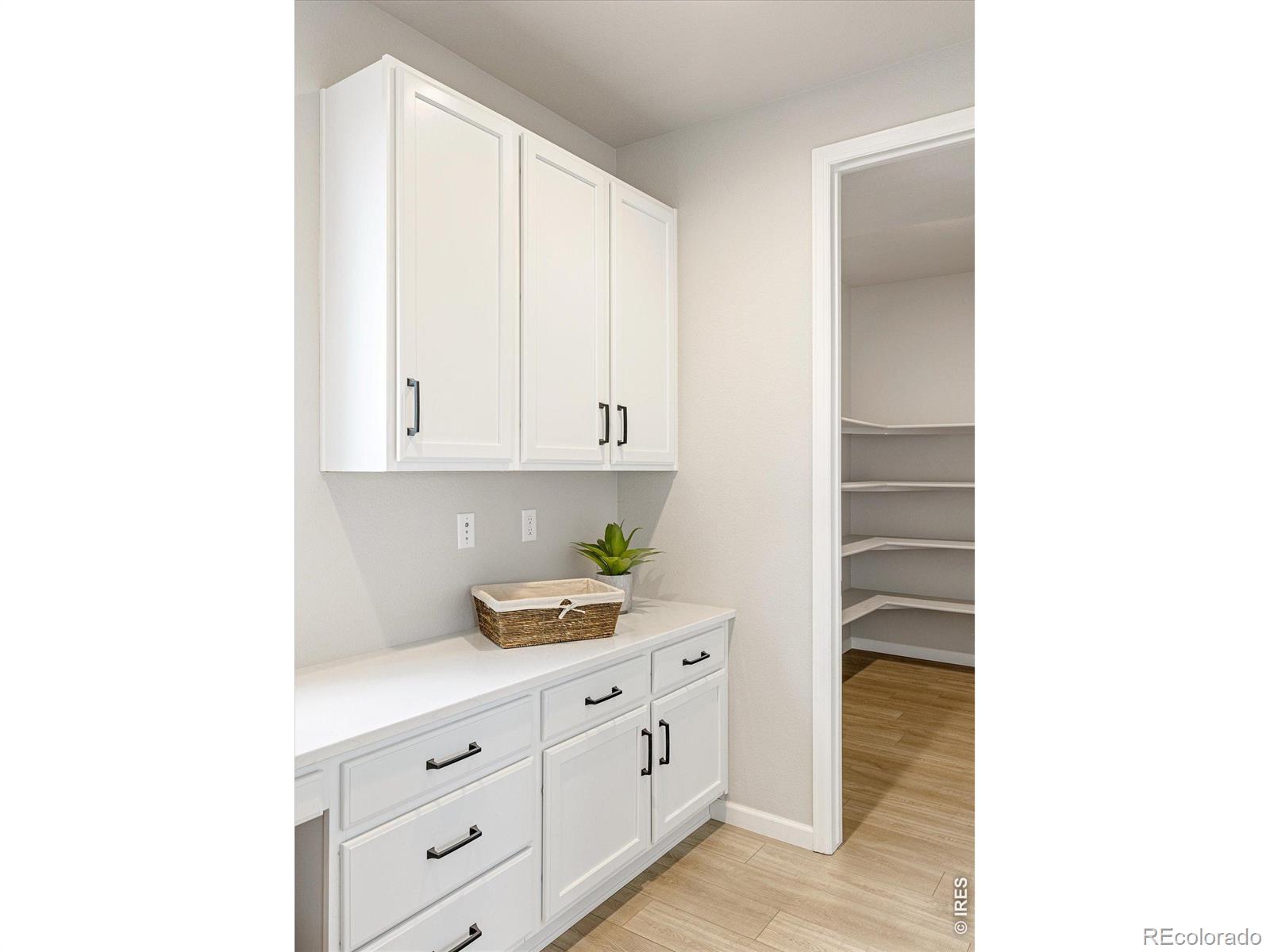 MLS #RECIR1066004 image #14