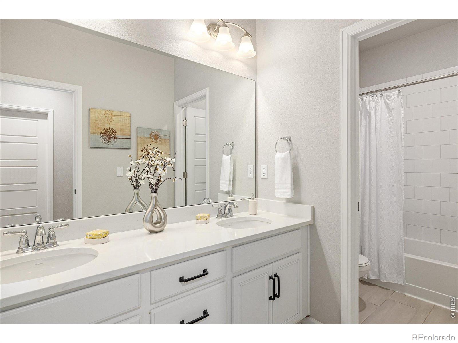 MLS #RECIR1066004 image #29