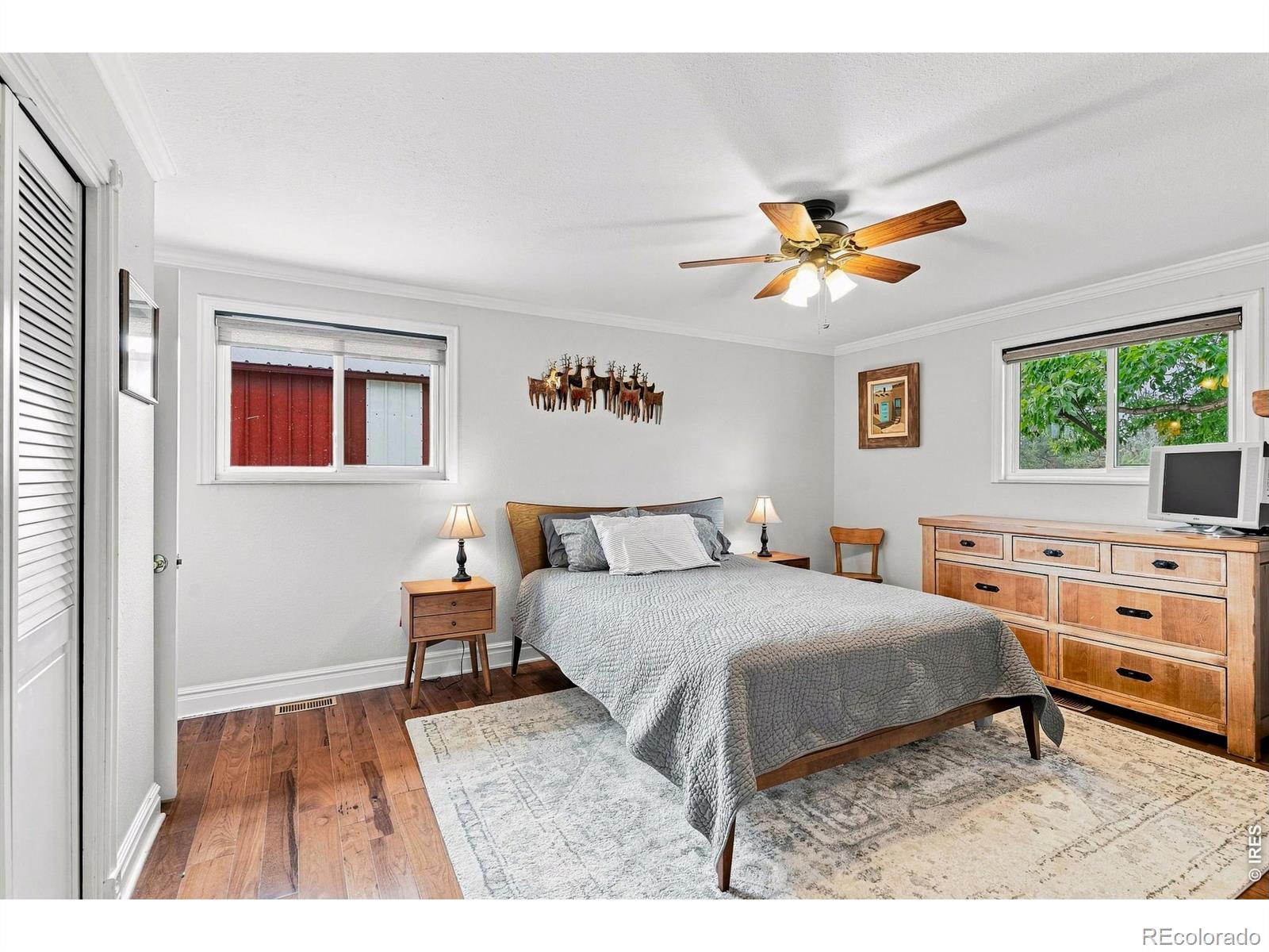MLS #RECIR1066206 image #22