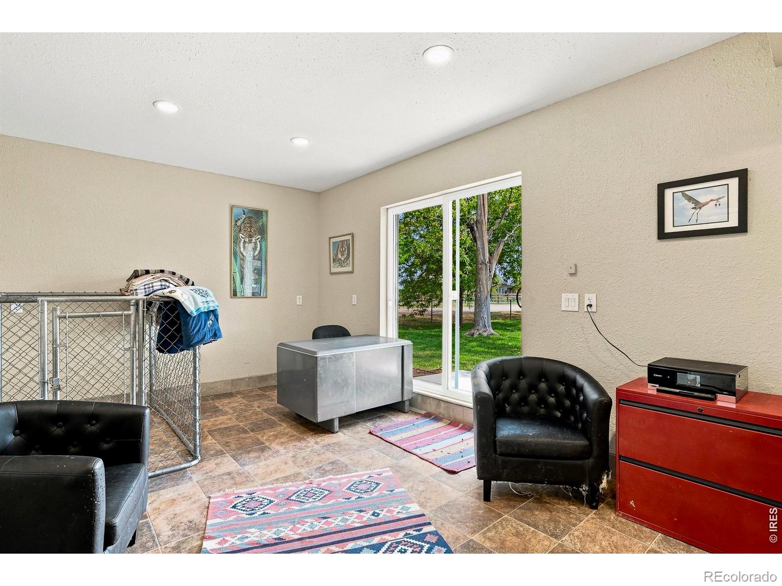 MLS #RECIR1066206 image #27