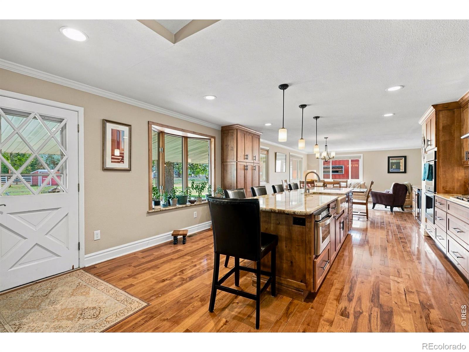 MLS #RECIR1066206 image #31