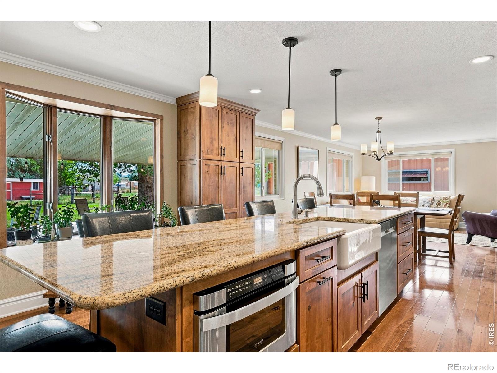 MLS #RECIR1066206 image #9