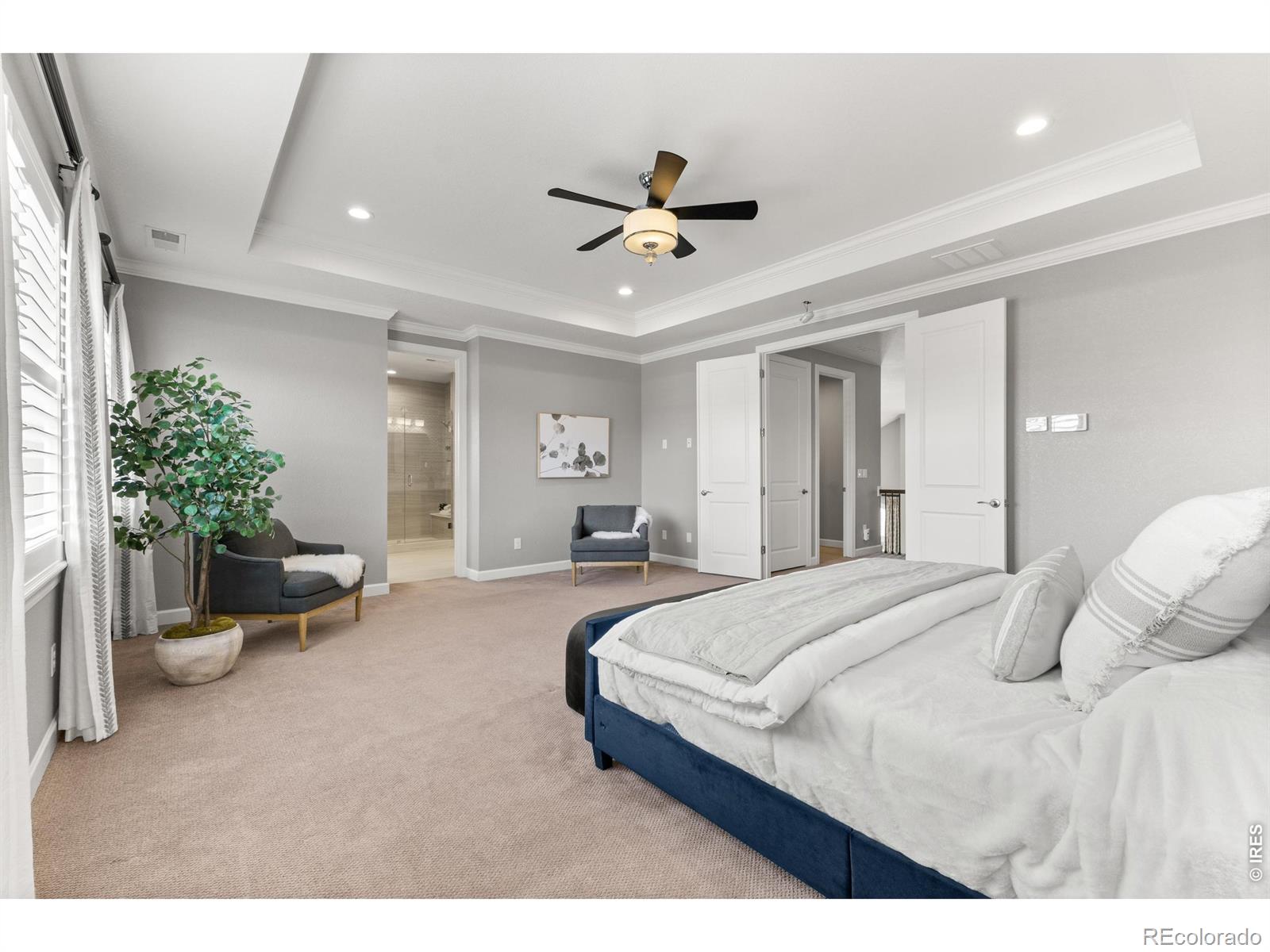 MLS #RECIR1066296 image #21