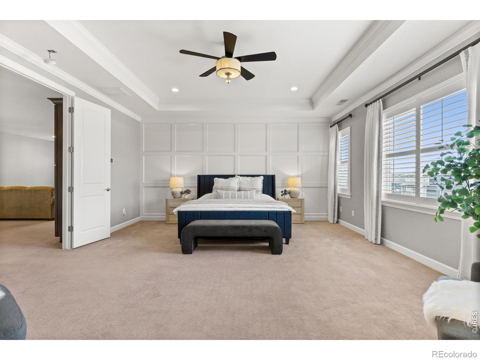MLS #RECIR1066296 image #22