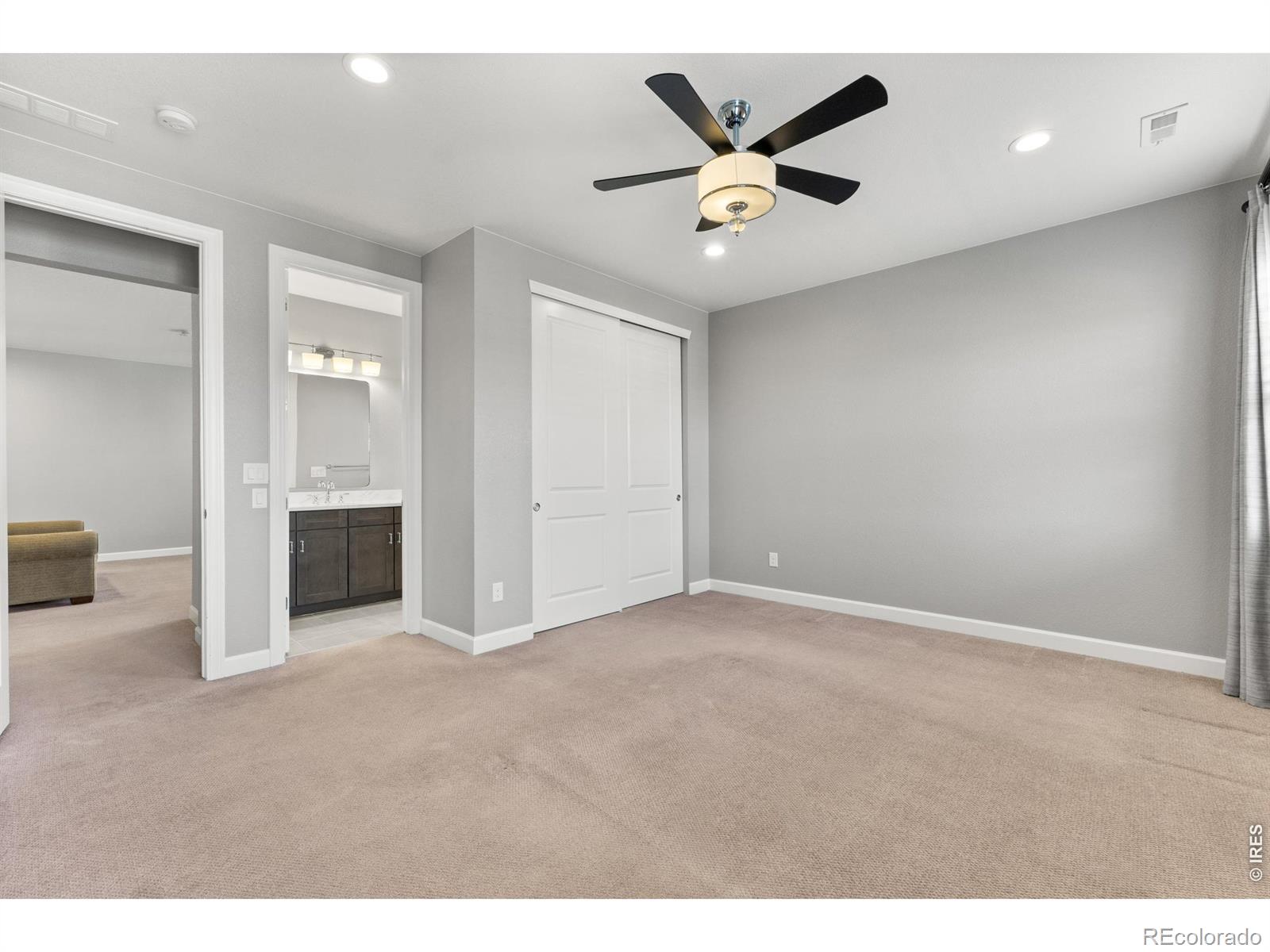MLS #RECIR1066296 image #28
