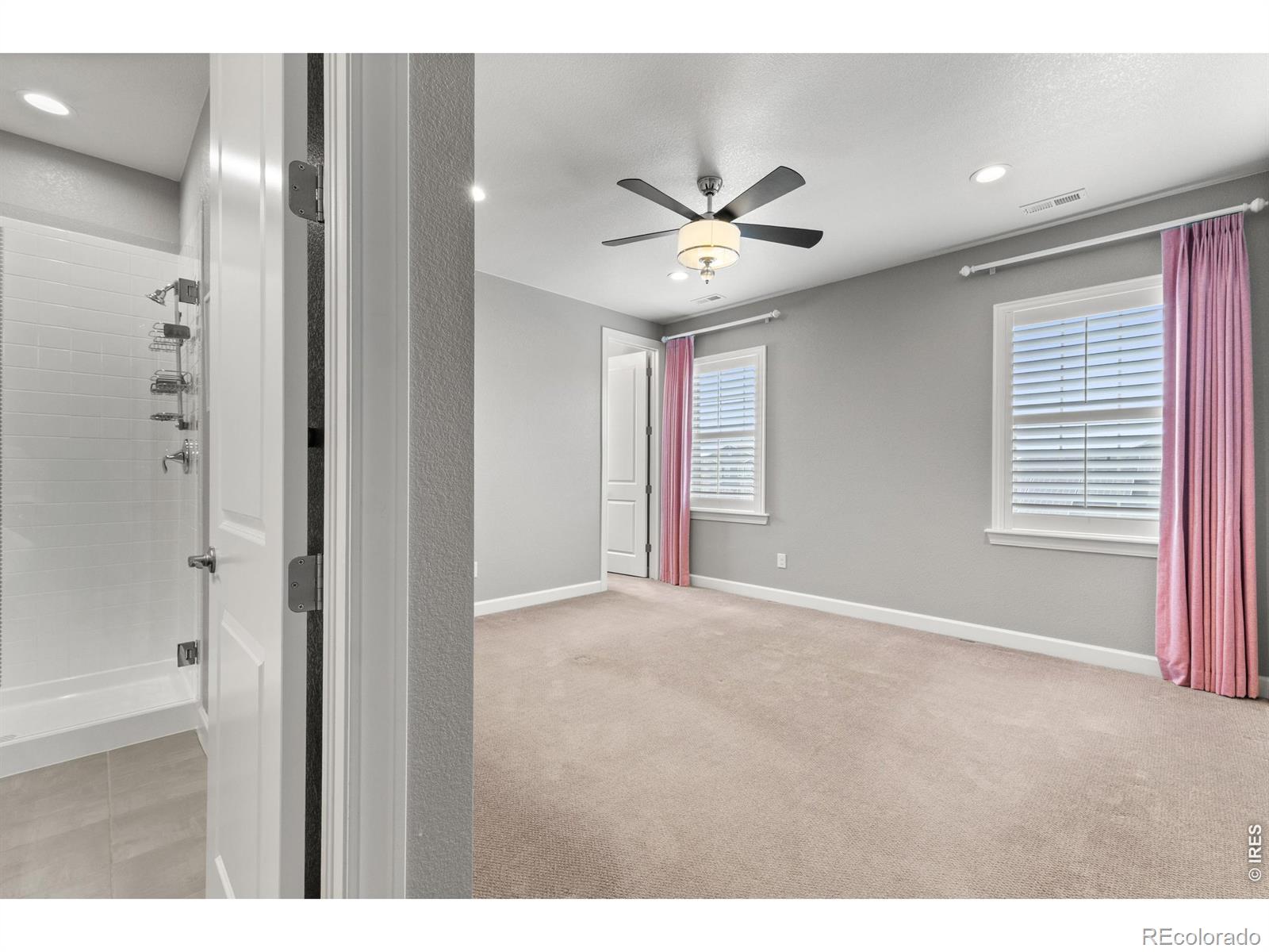 MLS #RECIR1066296 image #30