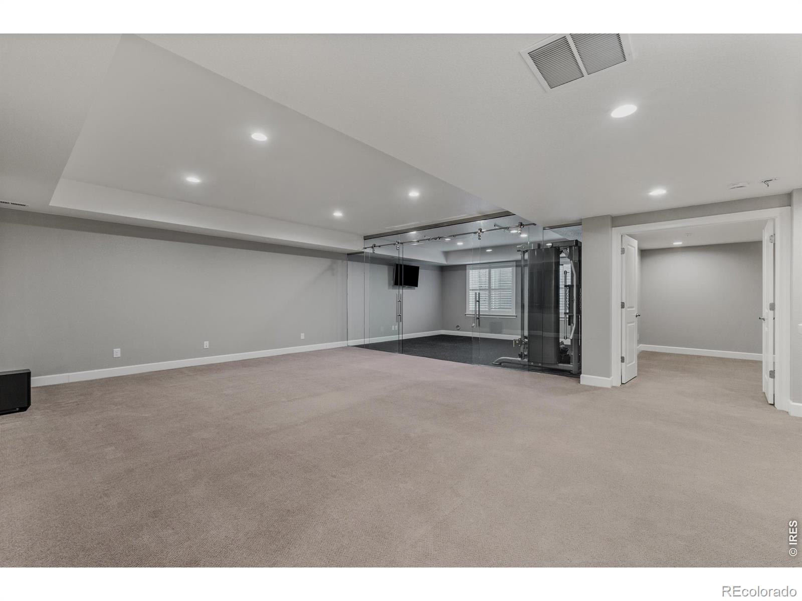 MLS #RECIR1066296 image #32