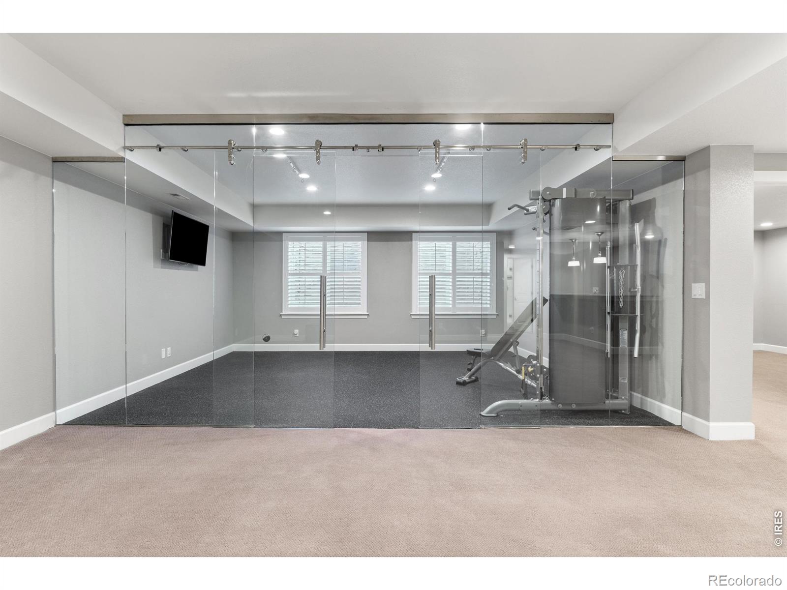 MLS #RECIR1066296 image #33