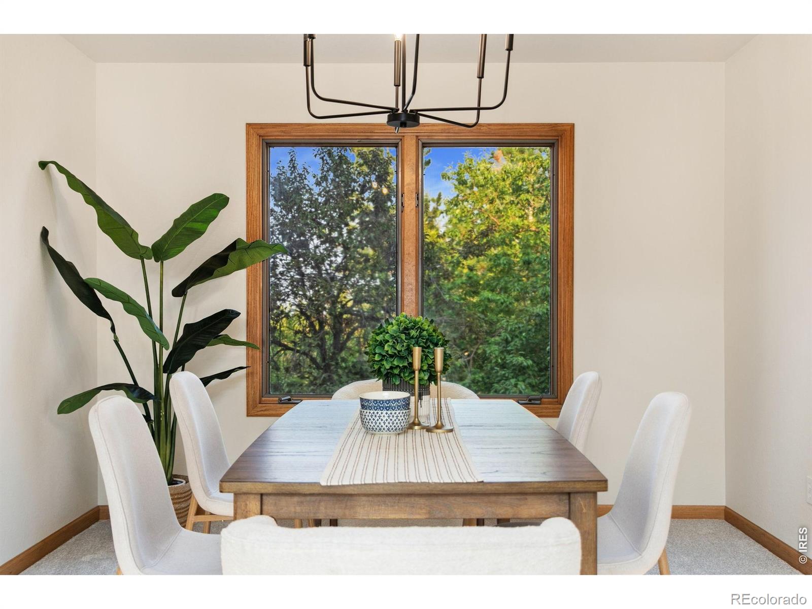 MLS #RECIR1066364 image #6