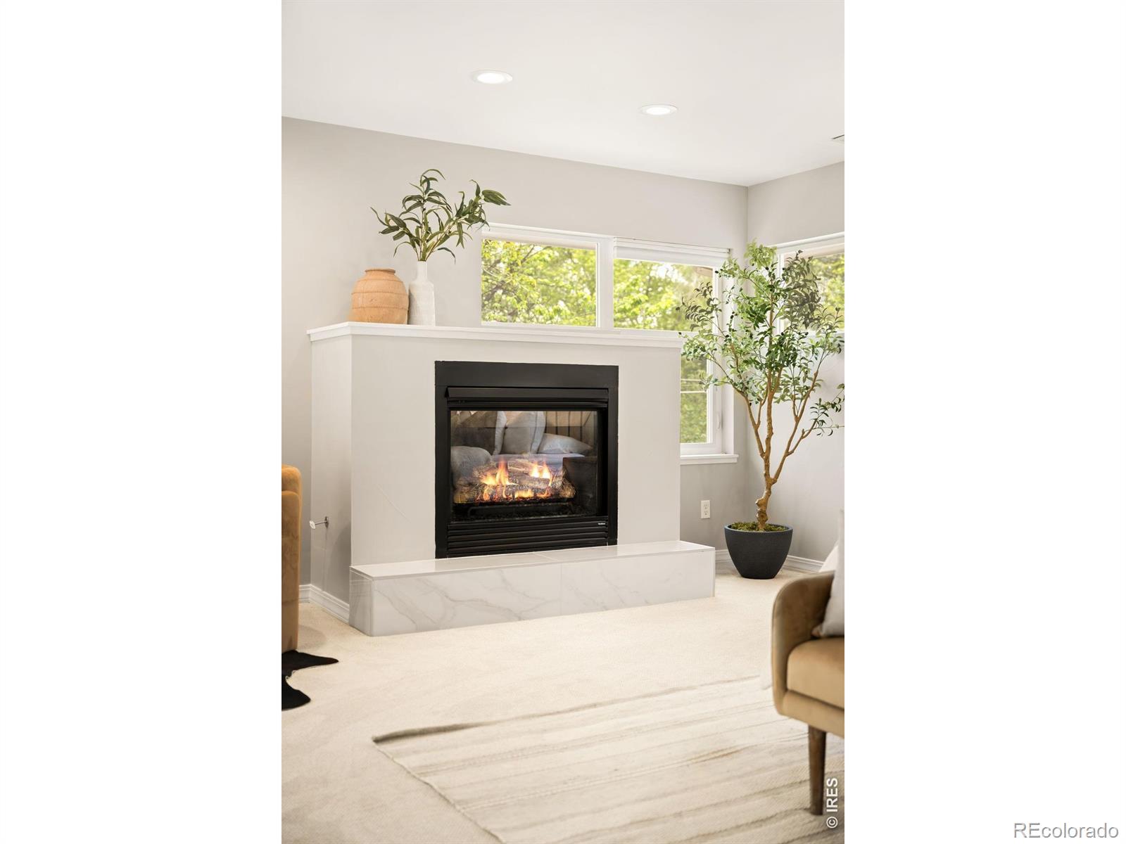 MLS #RECIR1066403 image #23