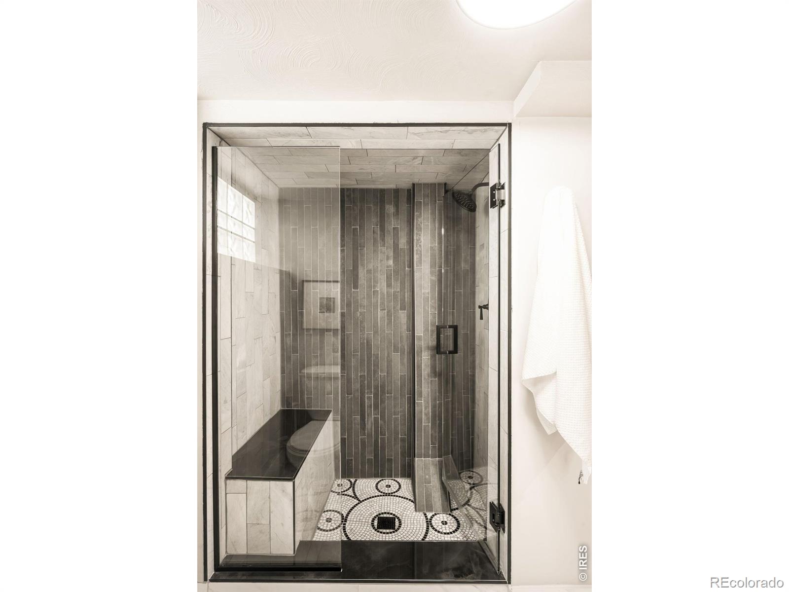 MLS #RECIR1066403 image #37