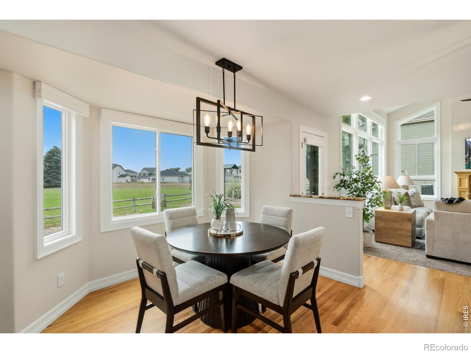 MLS #RECIR1066482 image #11