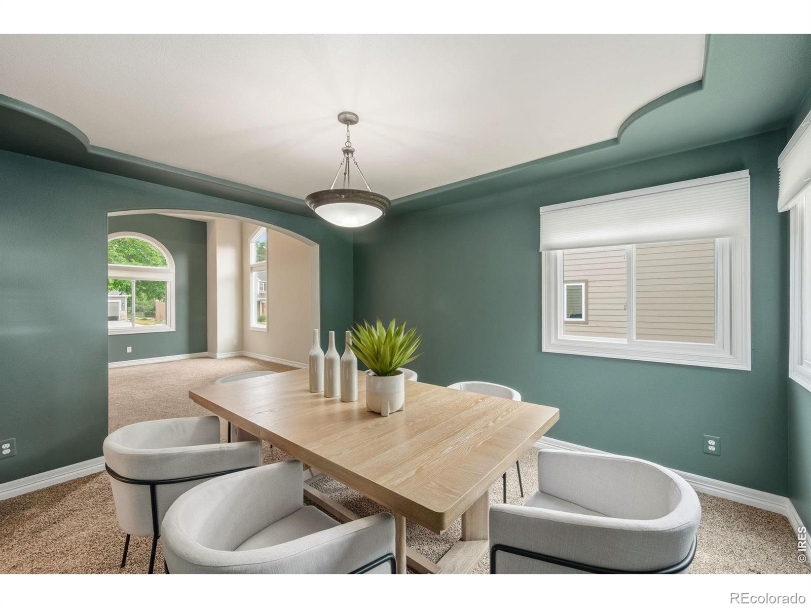 MLS #RECIR1066482 image #16