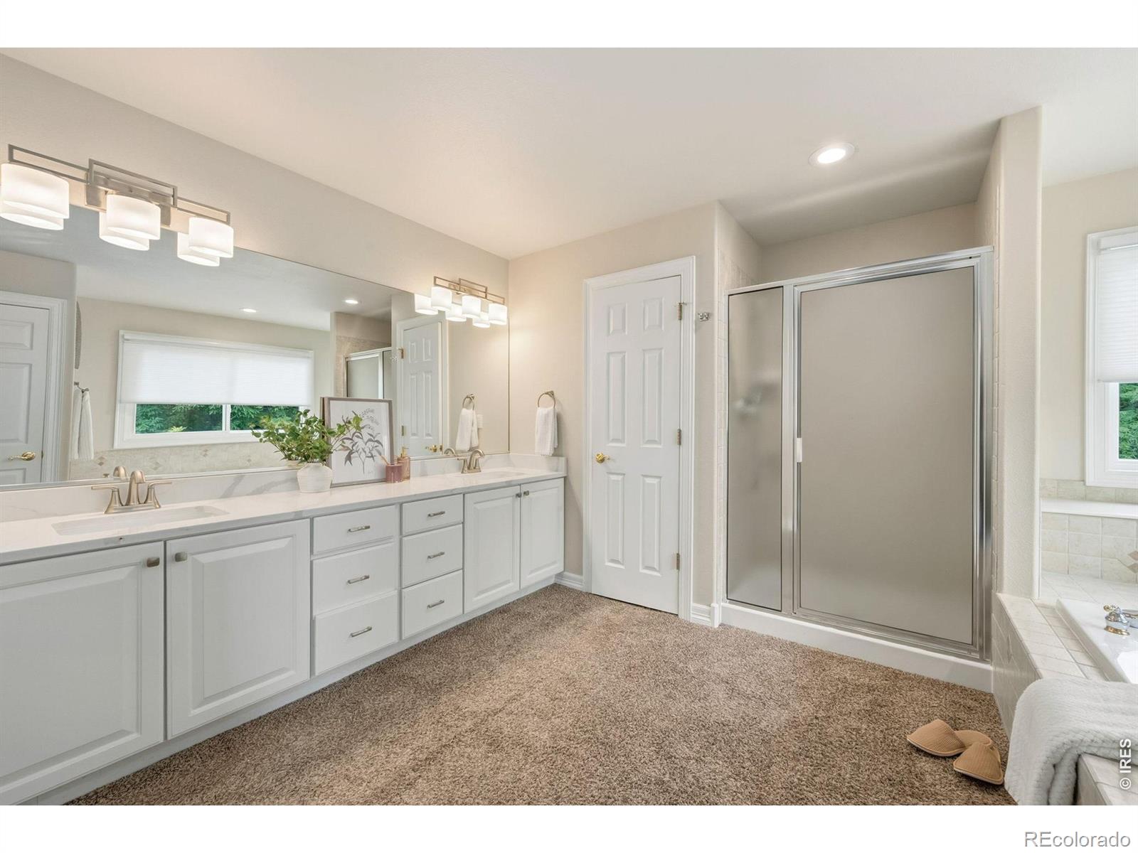 MLS #RECIR1066482 image #27
