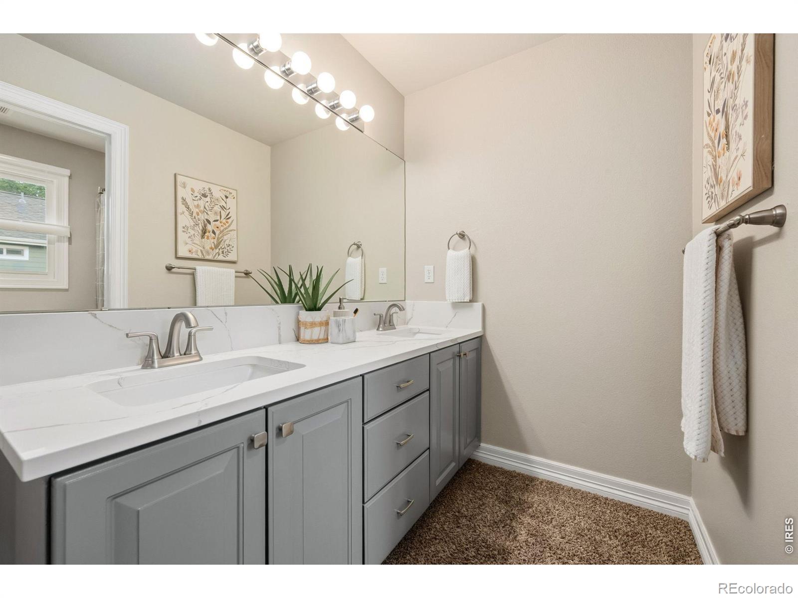 MLS #RECIR1066482 image #30