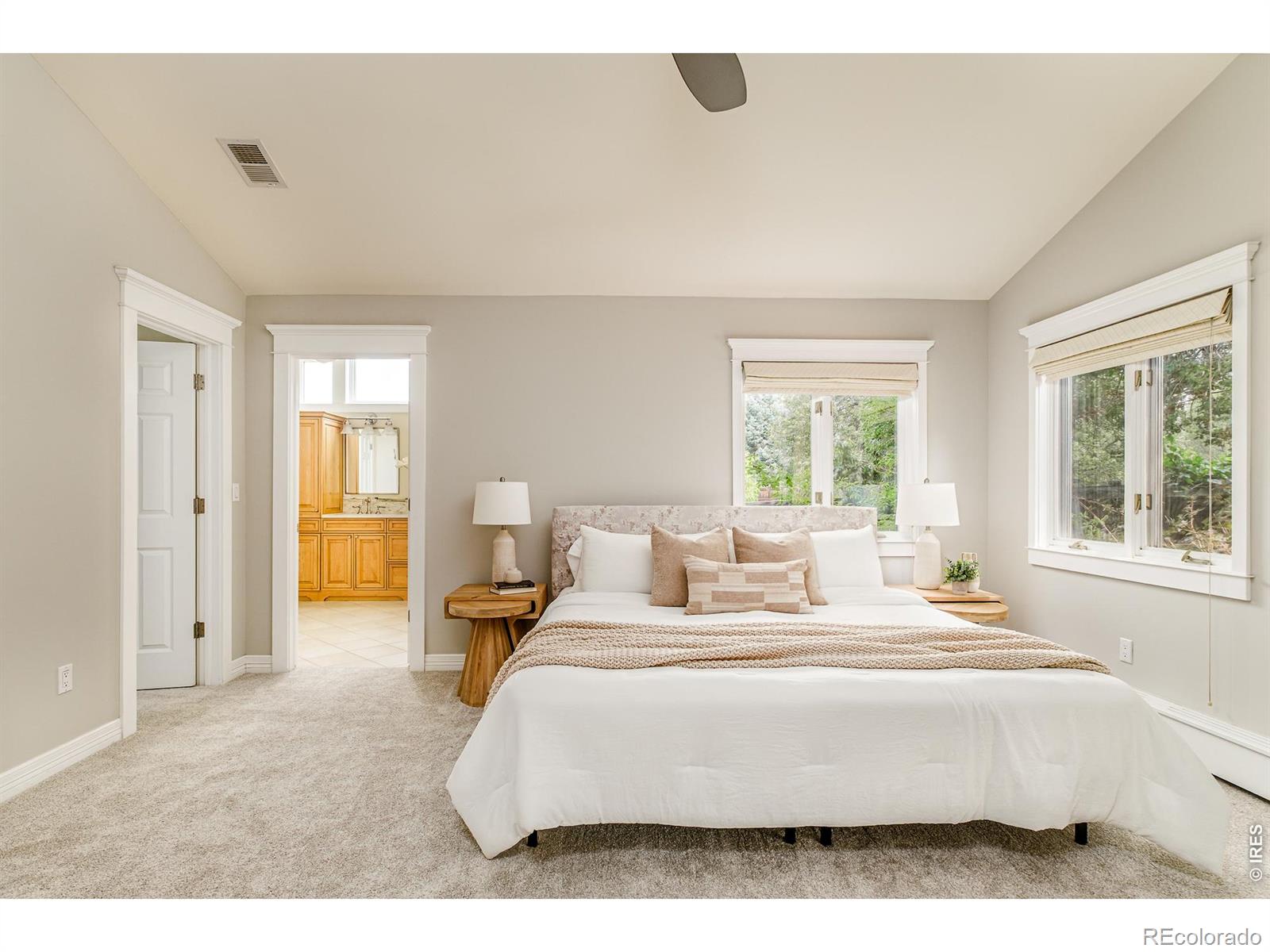 MLS #RECIR1066515 image #29