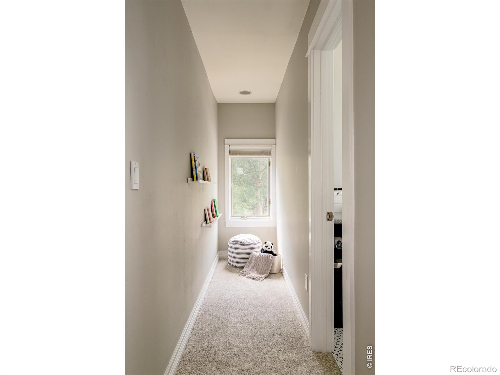 MLS #RECIR1066515 image #39