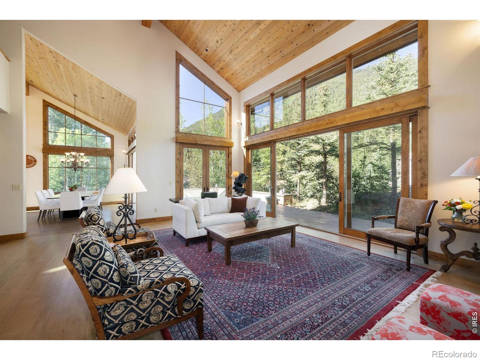MLS #RECIR1066545 image #11