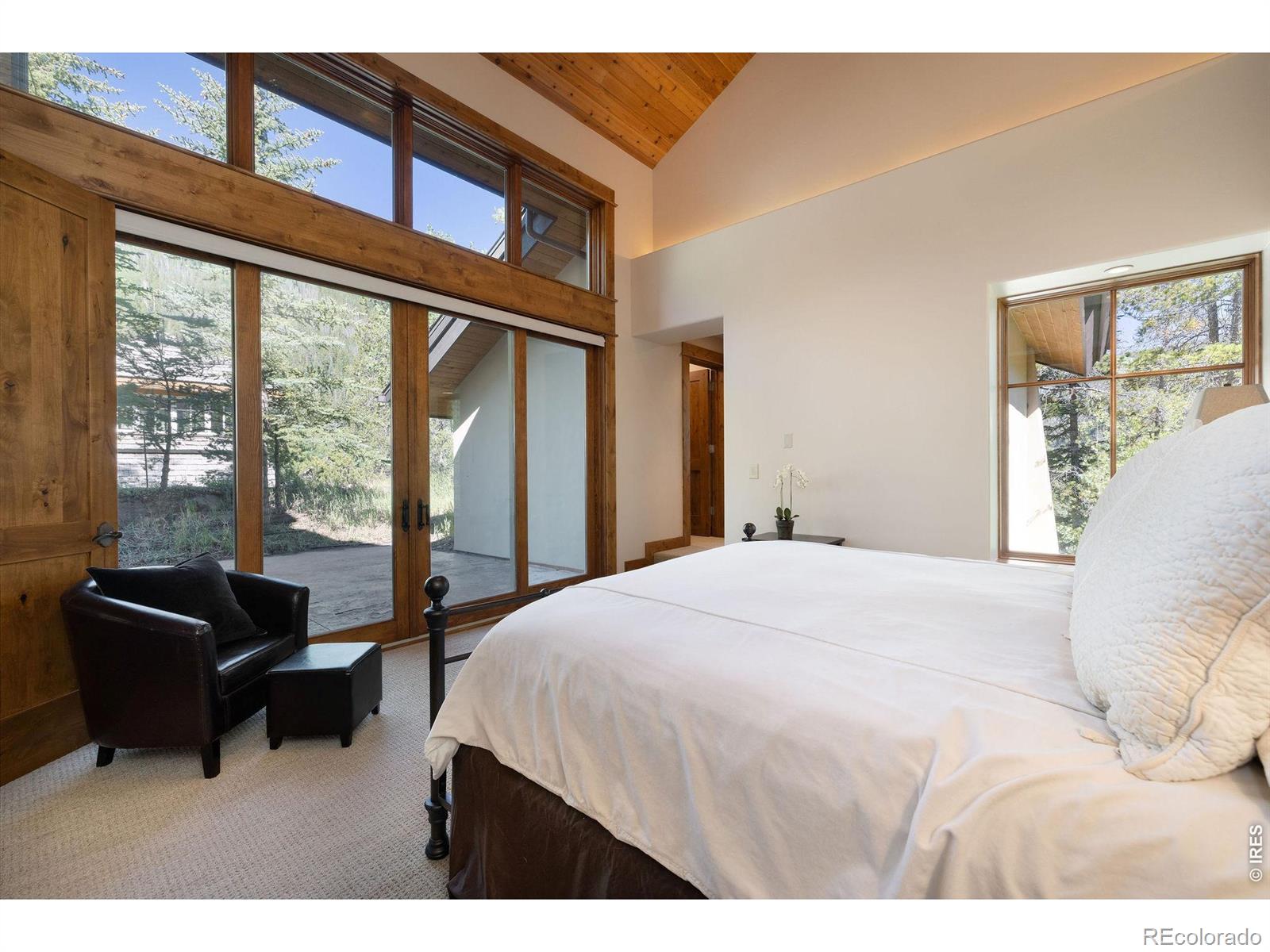 MLS #RECIR1066545 image #14