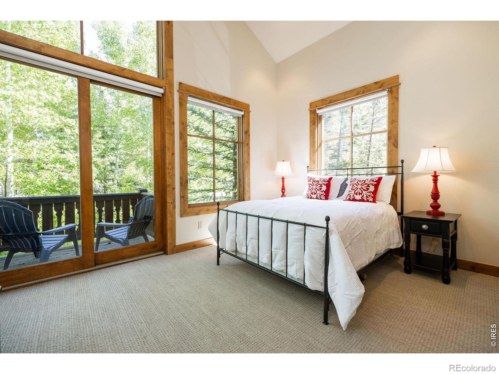 MLS #RECIR1066545 image #23