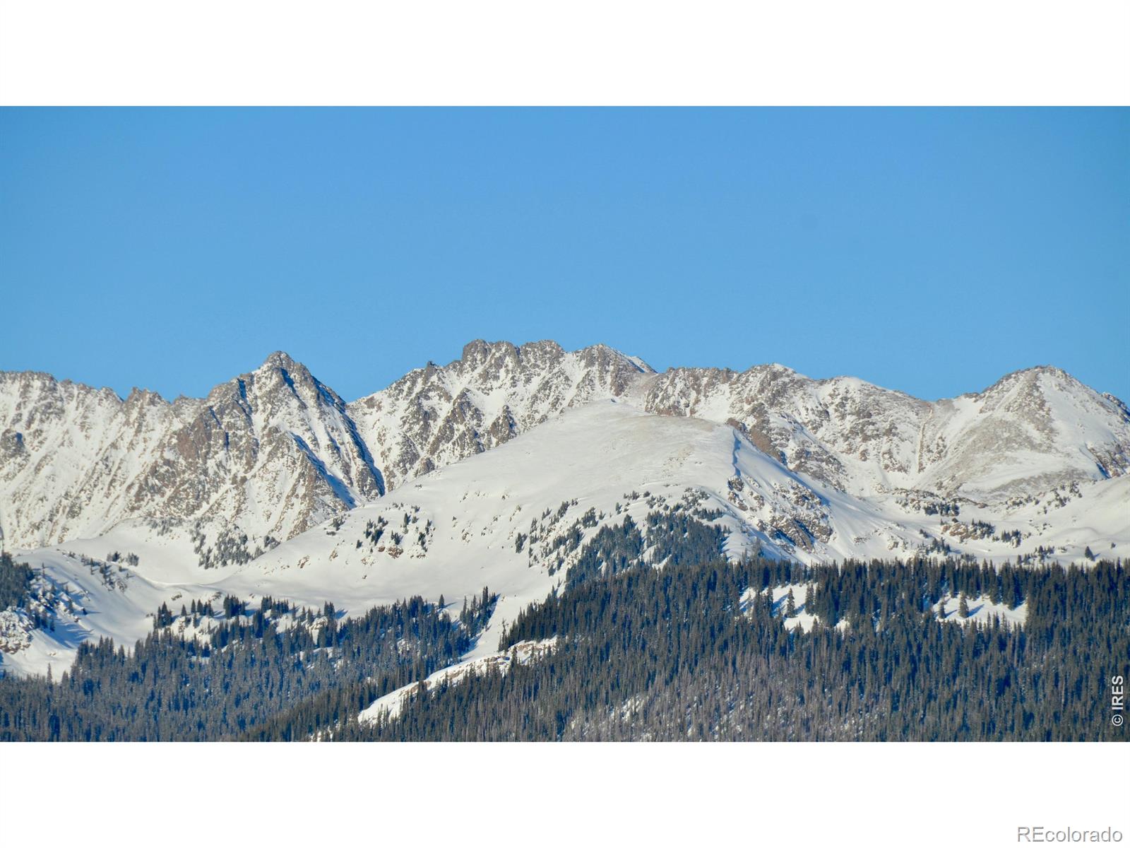 MLS #RECIR1066545 image #38