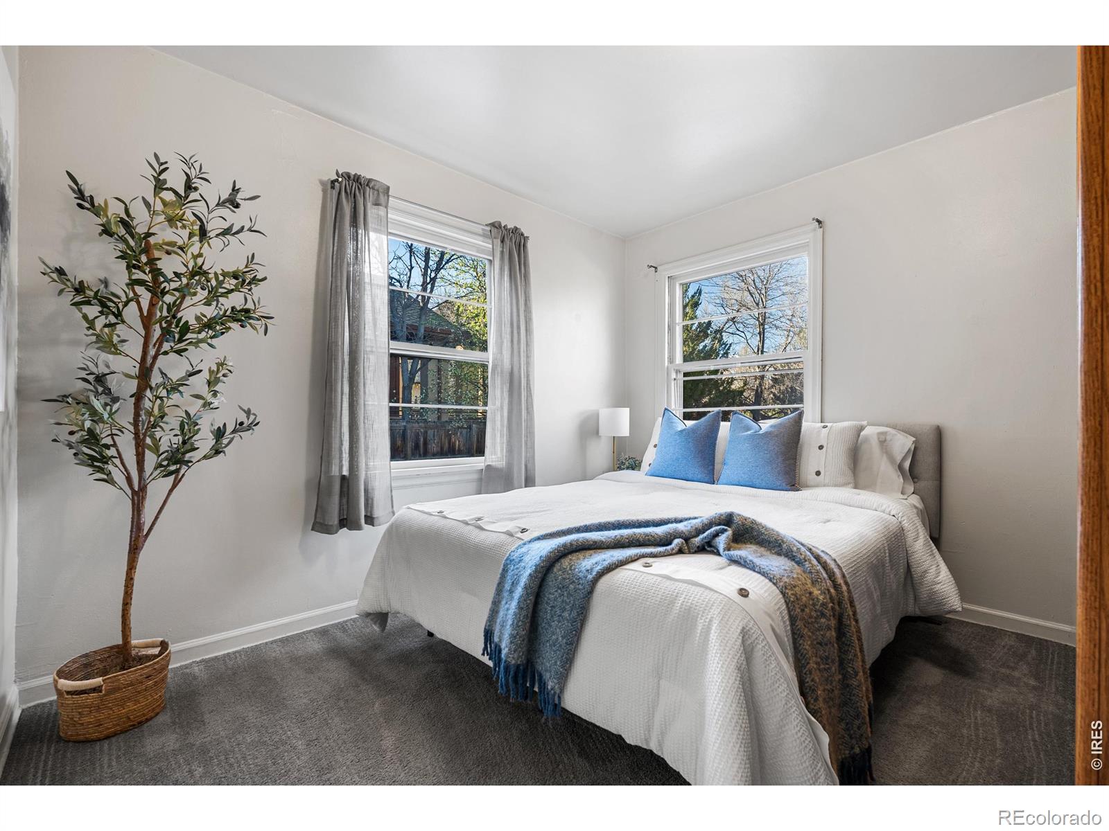 MLS #RECIR1066725 image #17