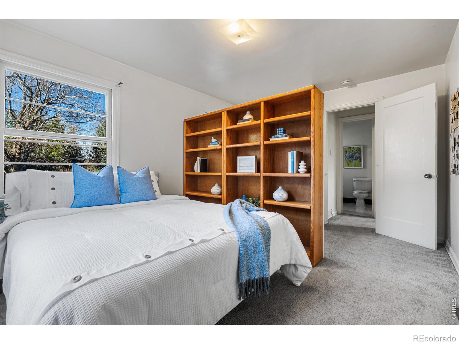 MLS #RECIR1066725 image #18