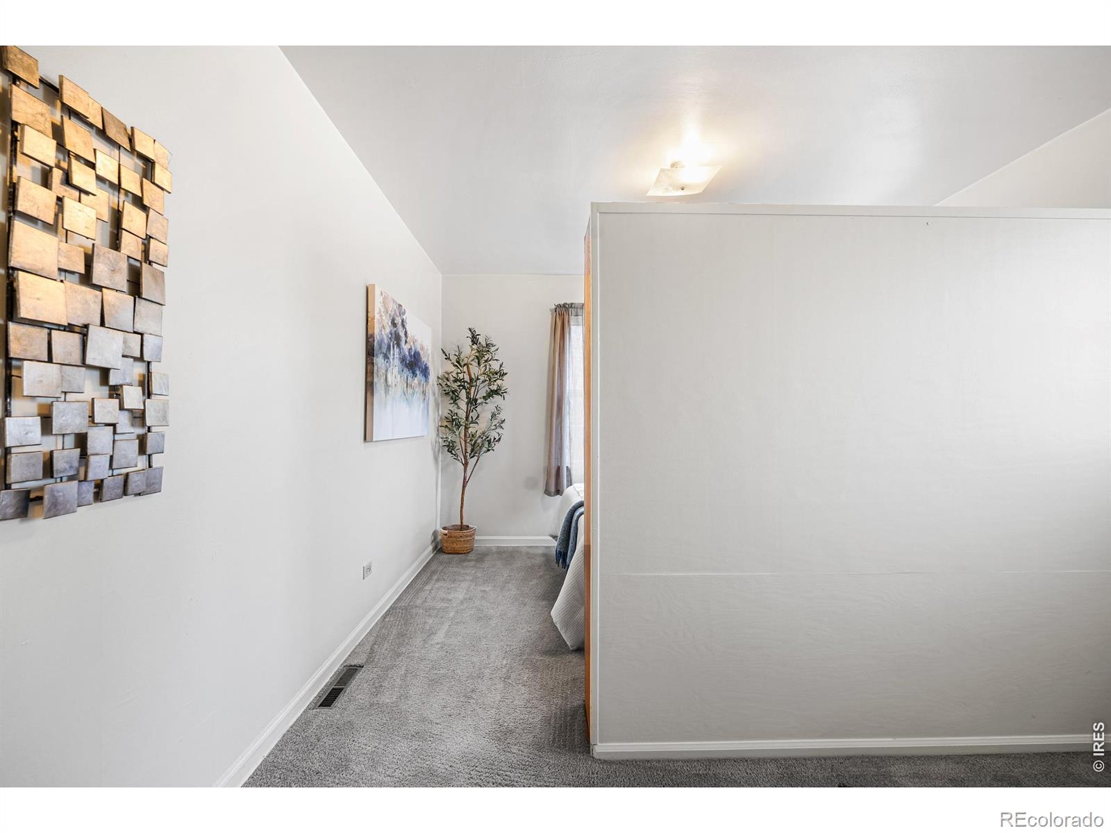 MLS #RECIR1066725 image #22