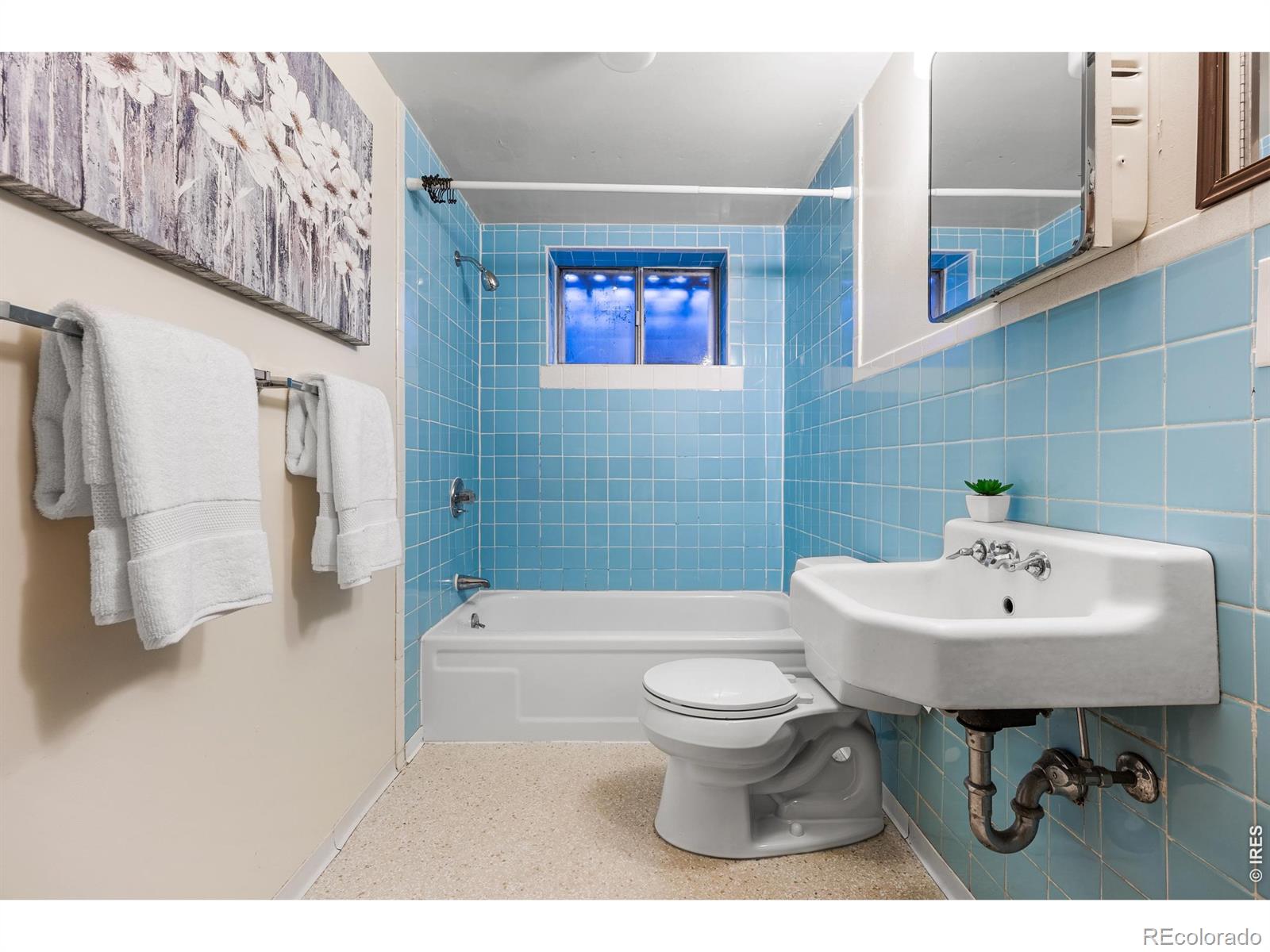 MLS #RECIR1066725 image #35