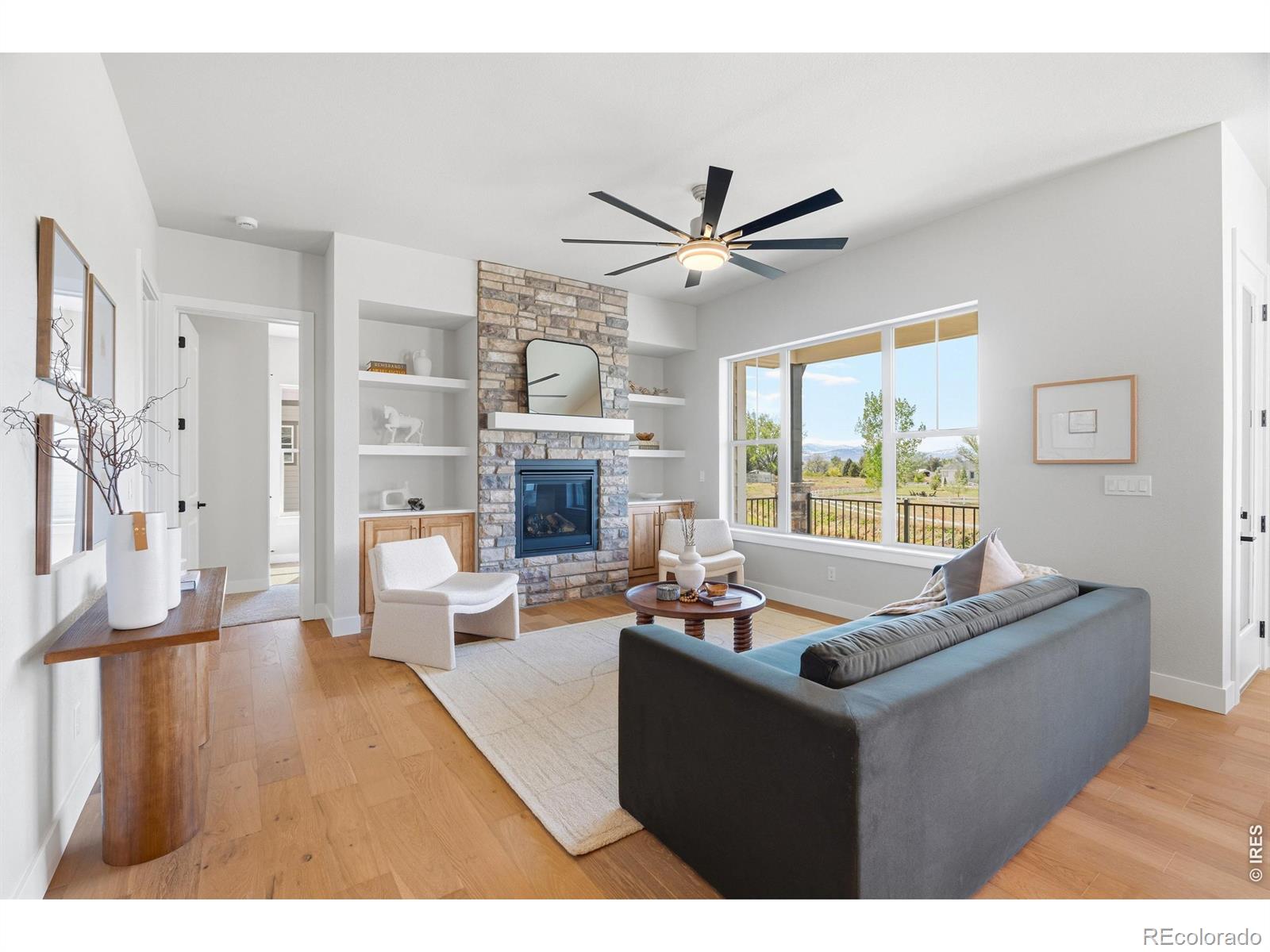 MLS #RECIR1066732 image #10
