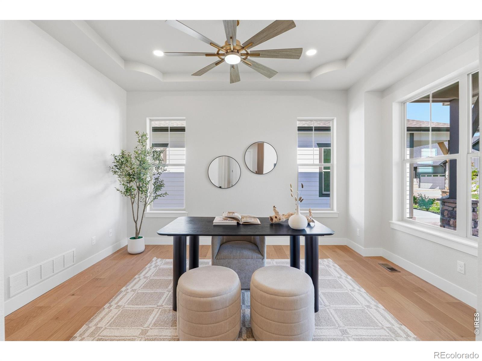 MLS #RECIR1066732 image #12