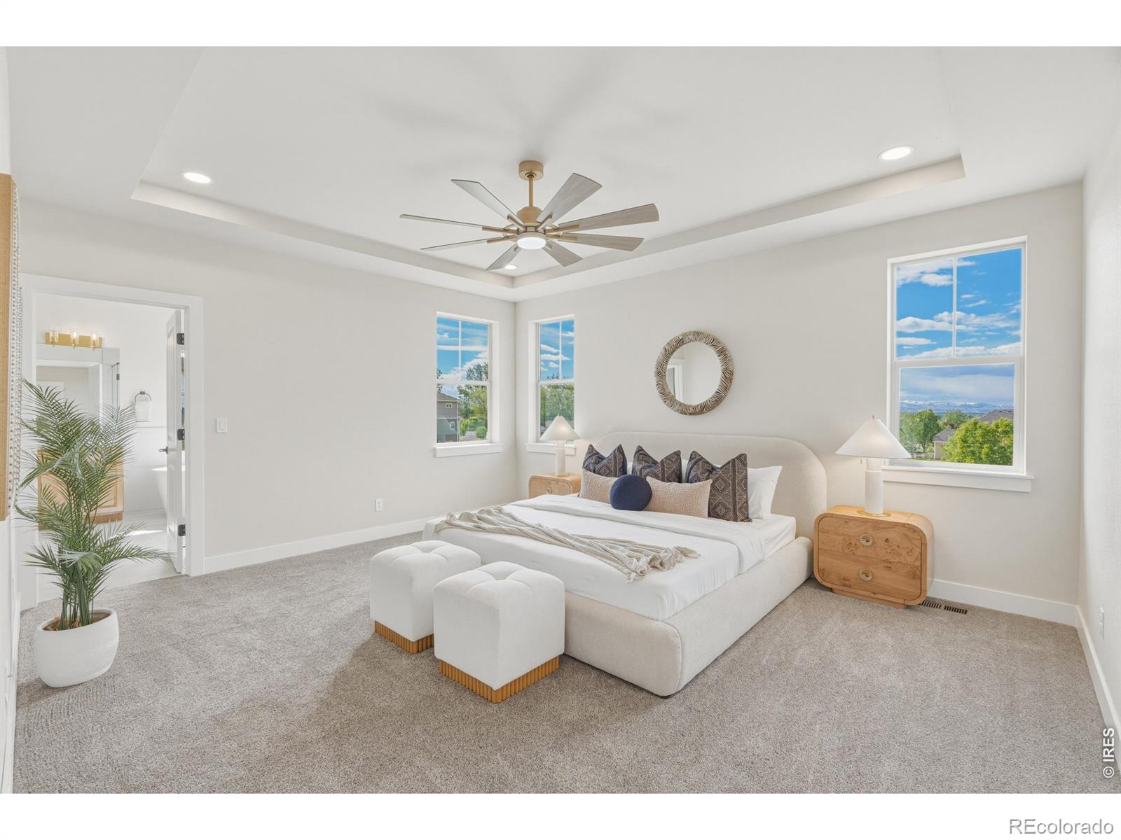 MLS #RECIR1066732 image #19