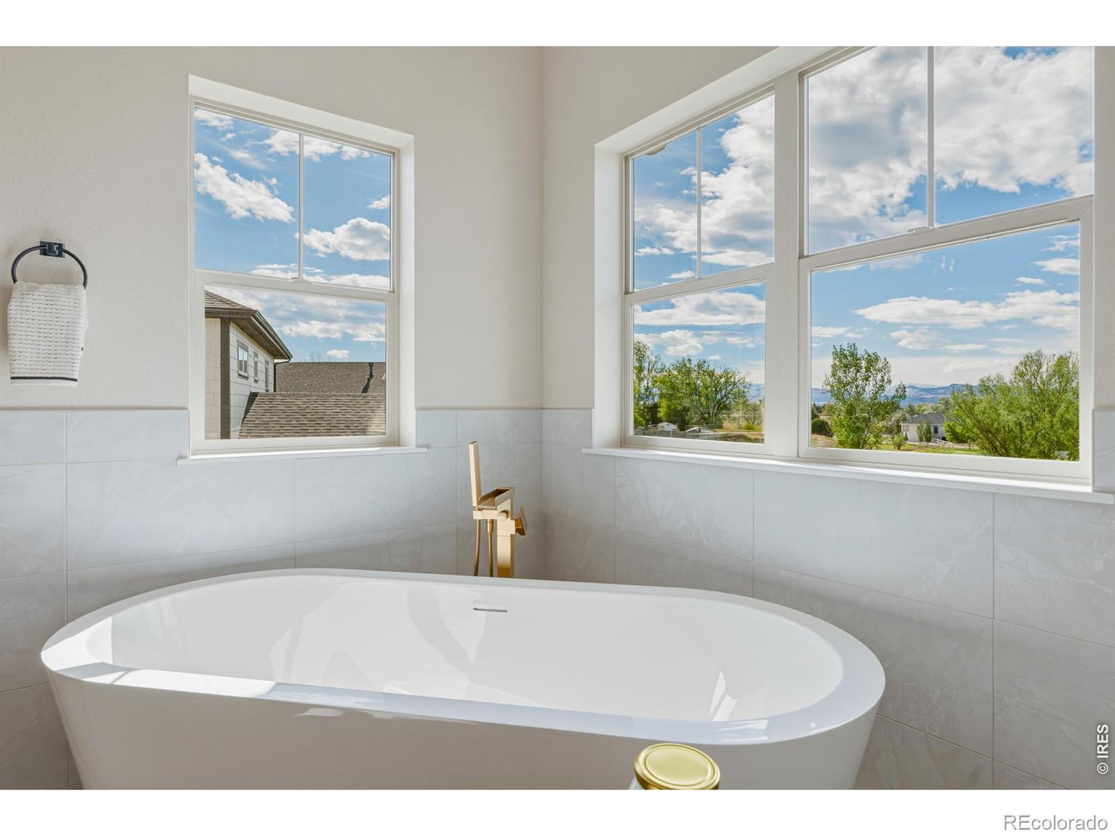 MLS #RECIR1066732 image #23