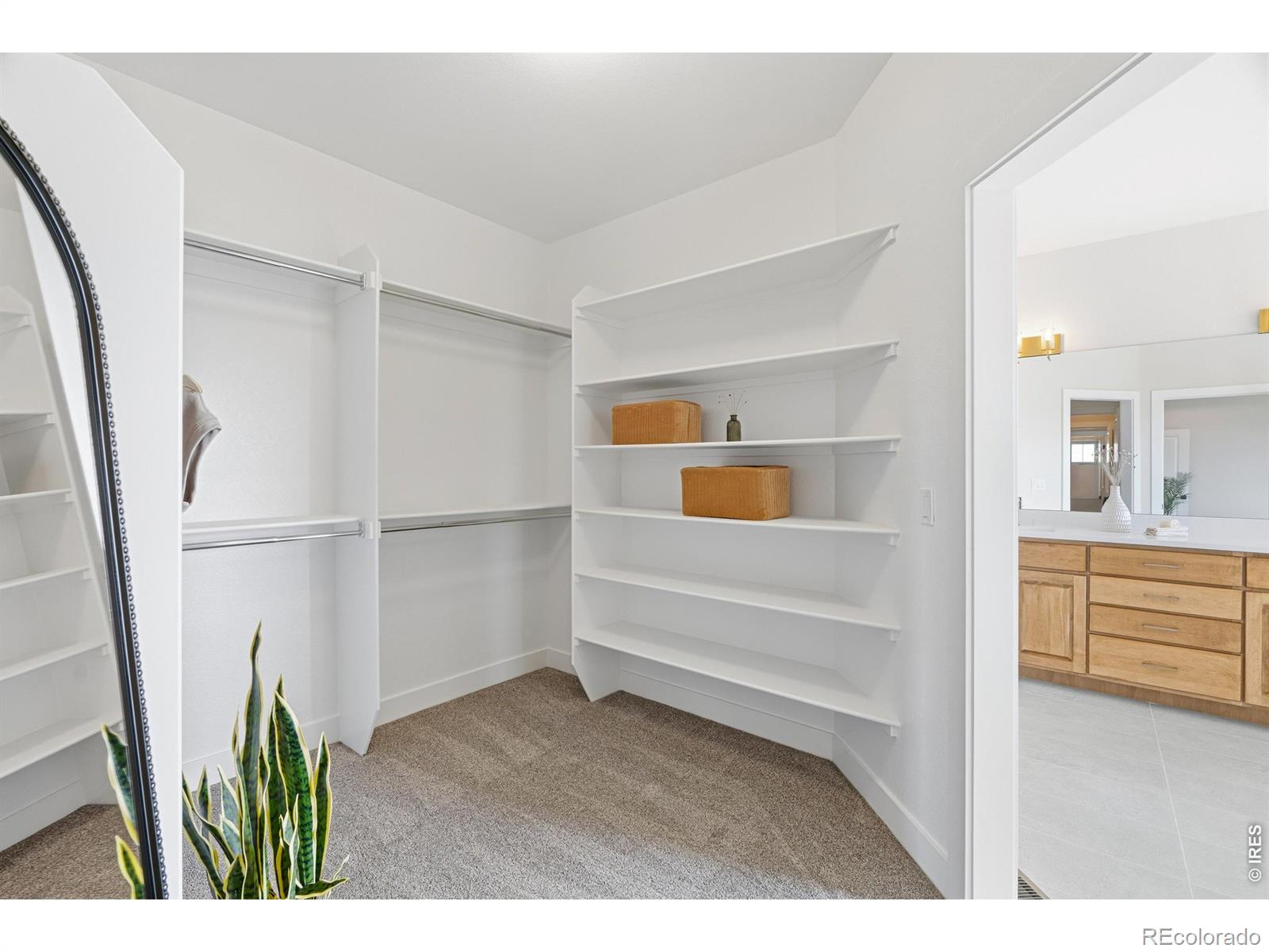 MLS #RECIR1066732 image #26