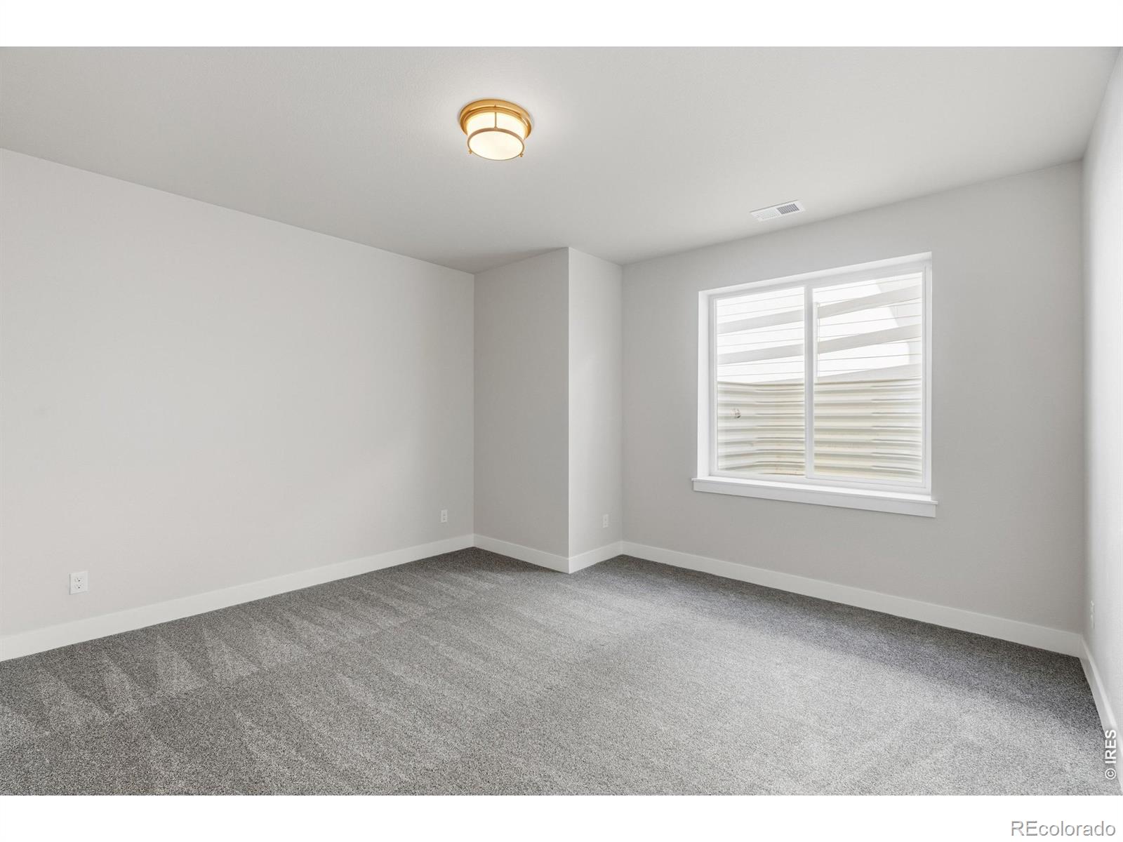 MLS #RECIR1066732 image #37