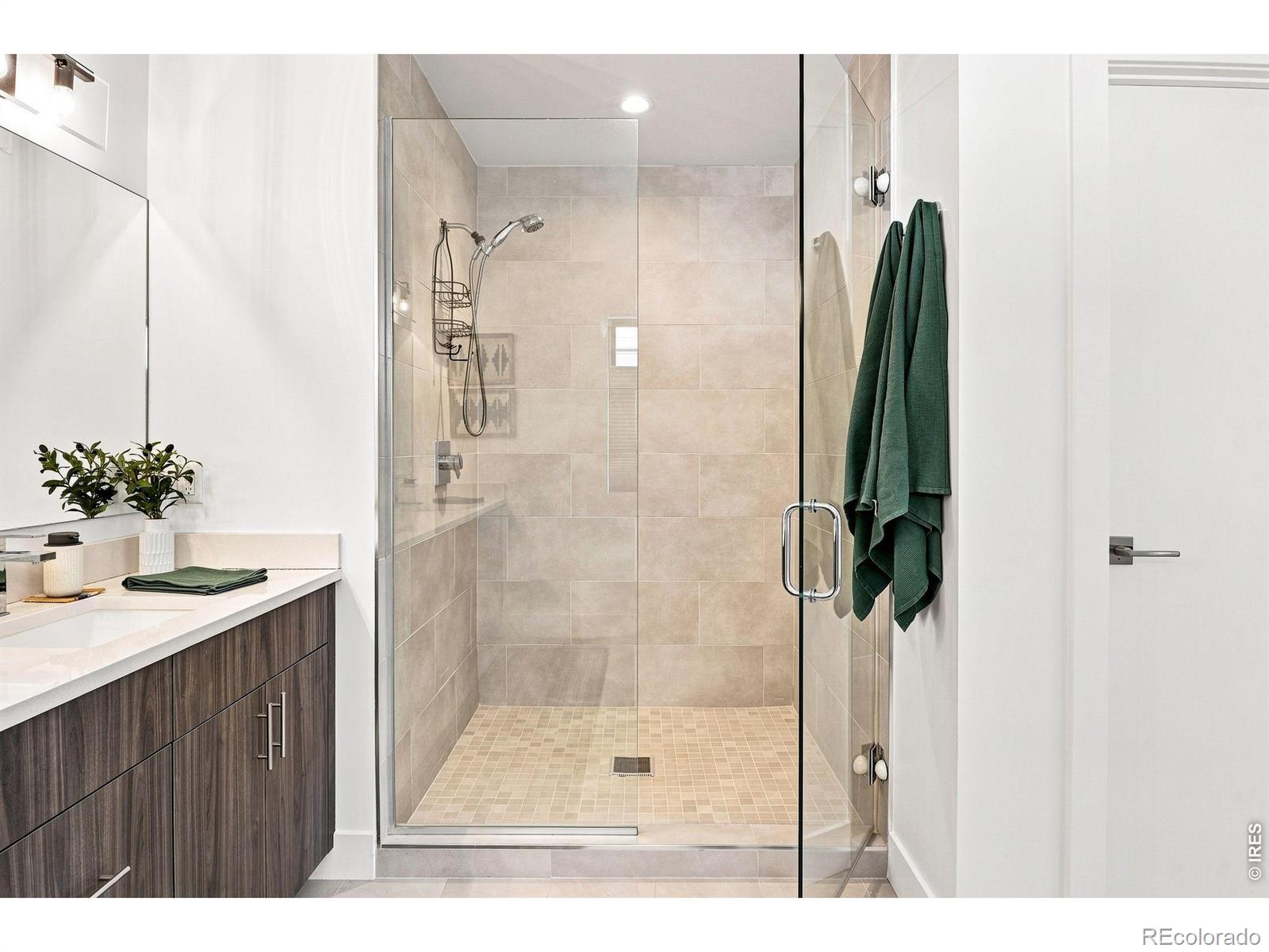 MLS #RECIR1066864 image #35