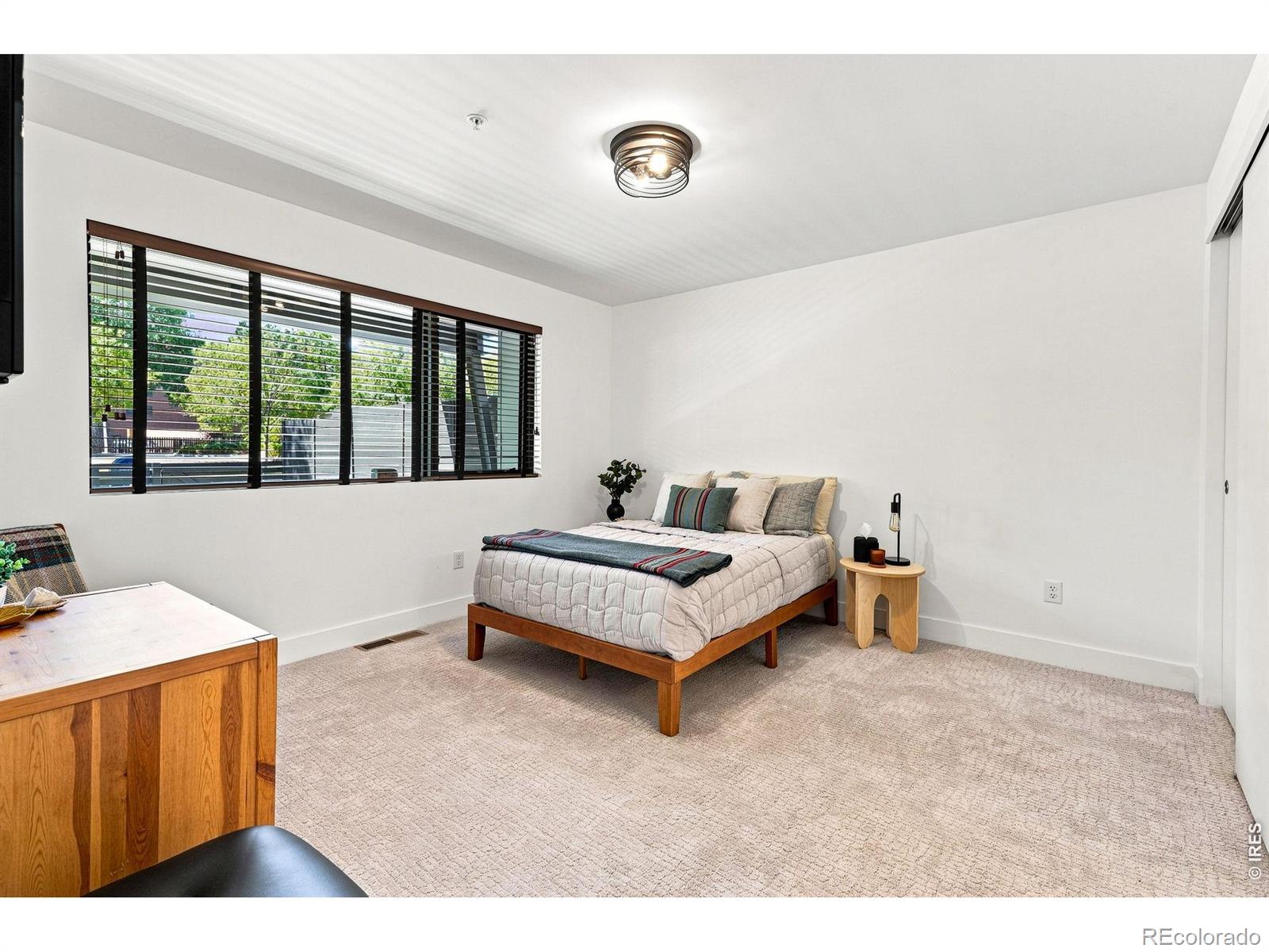 MLS #RECIR1066864 image #9